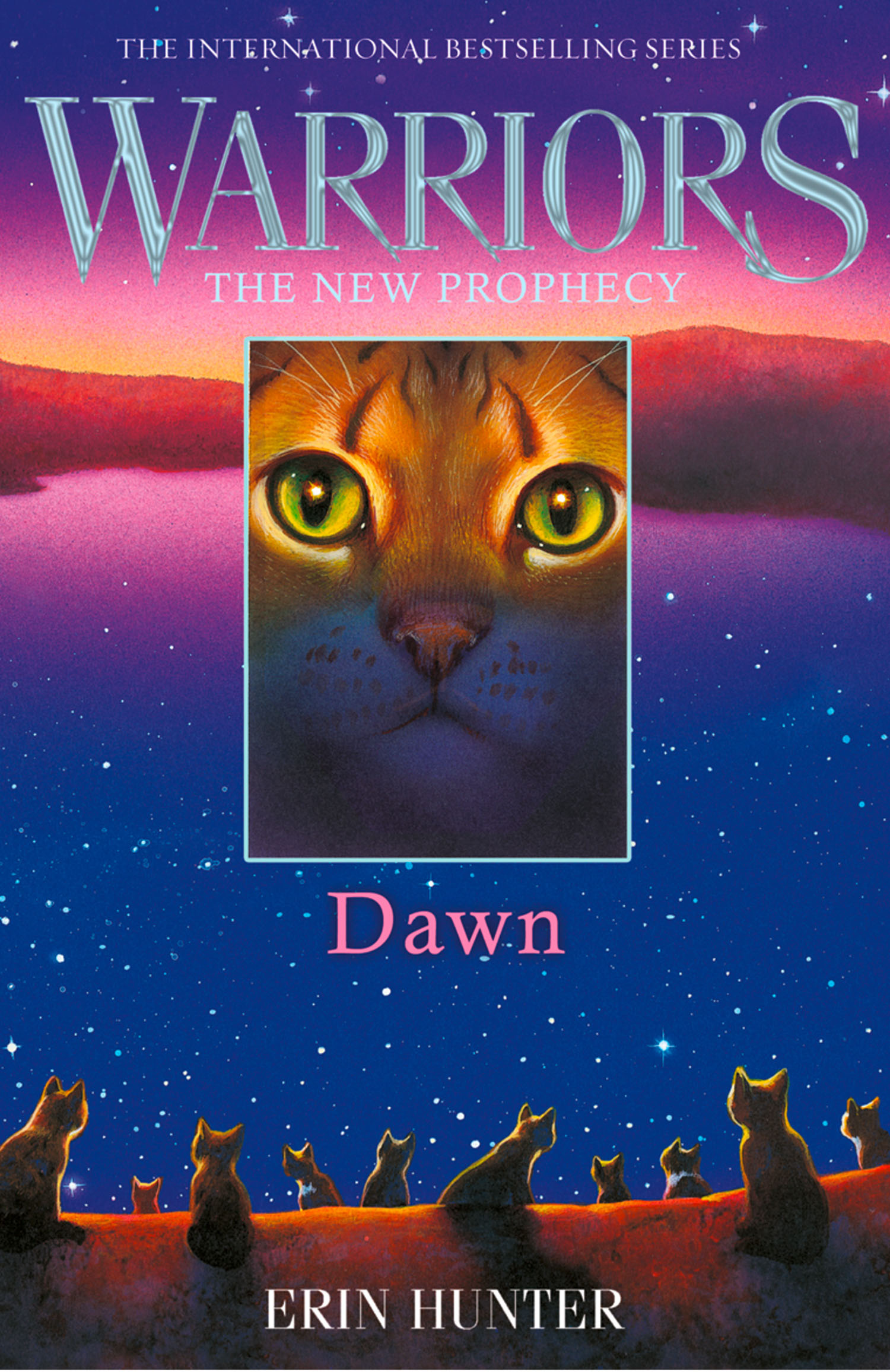 Обложка книги «DAWN»
