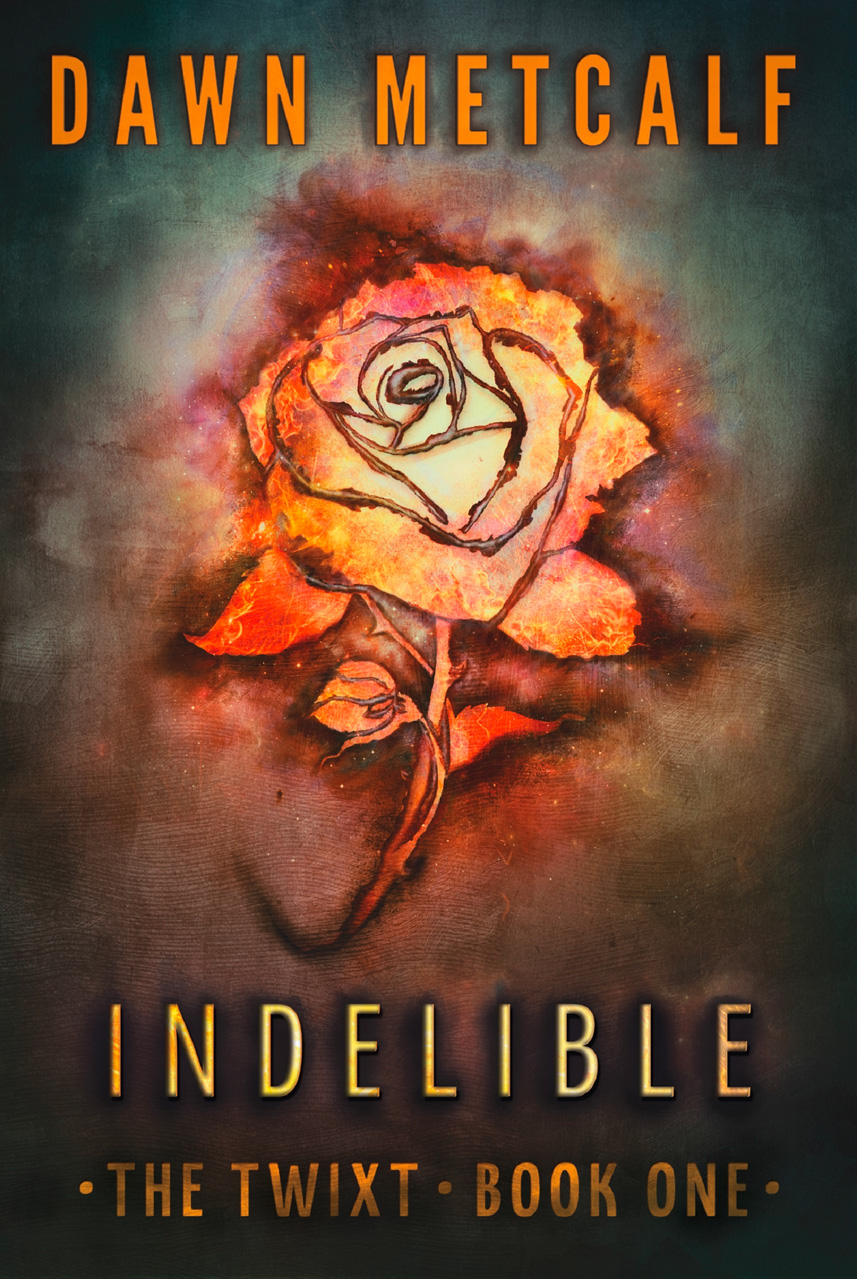 Обложка книги «Indelible»