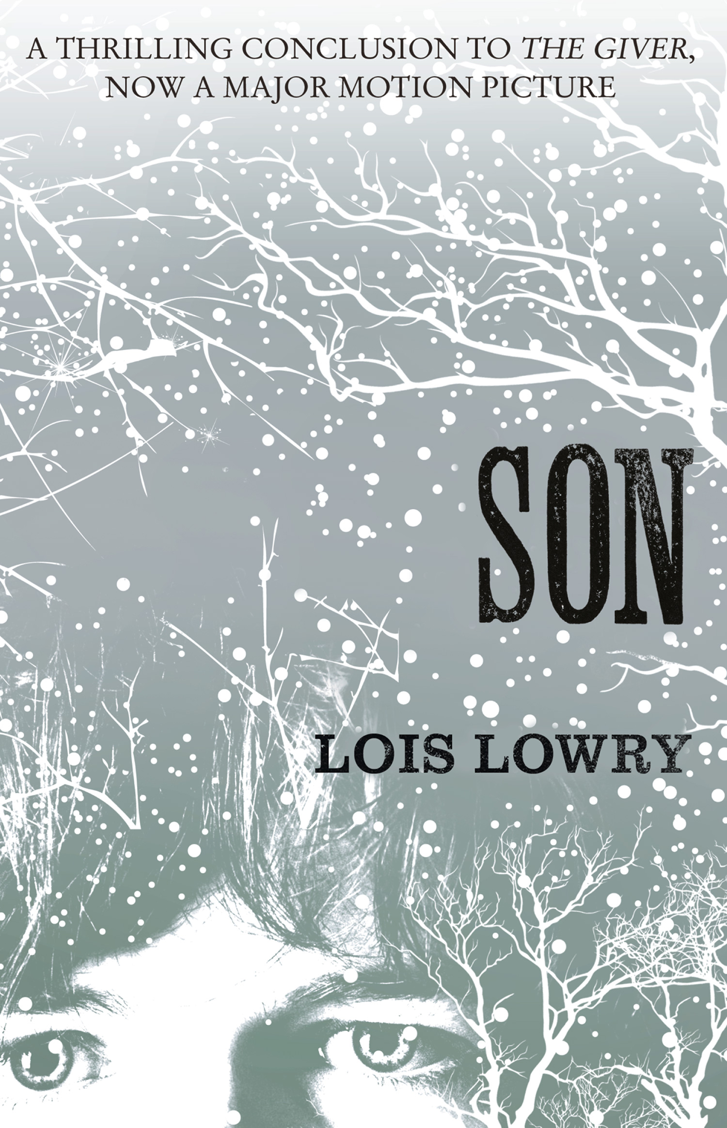 Обложка книги «Son»