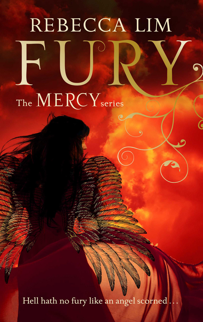Обложка книги «Fury»
