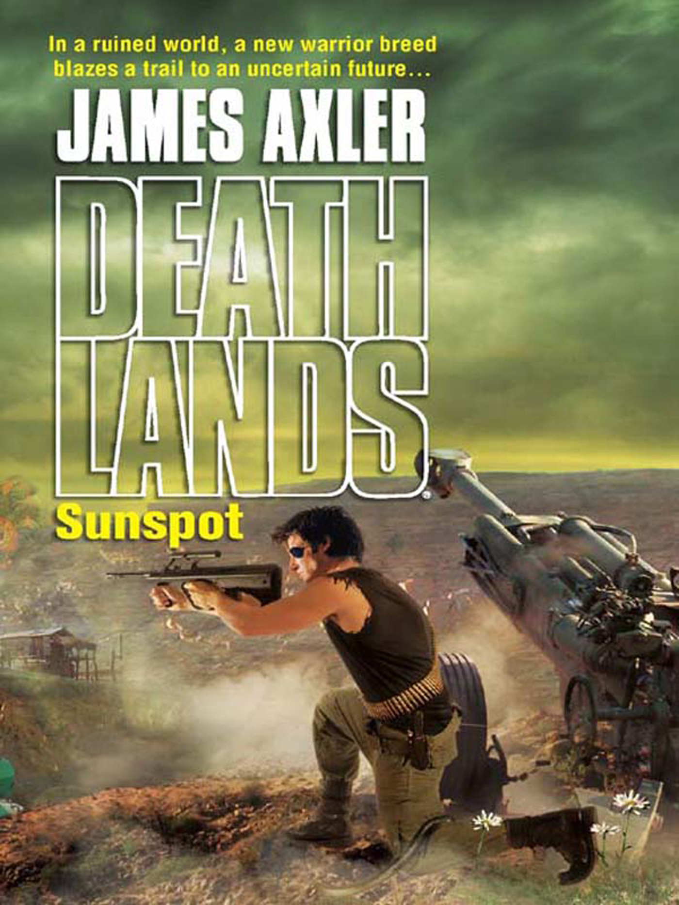 Обложка книги «Sunspot»