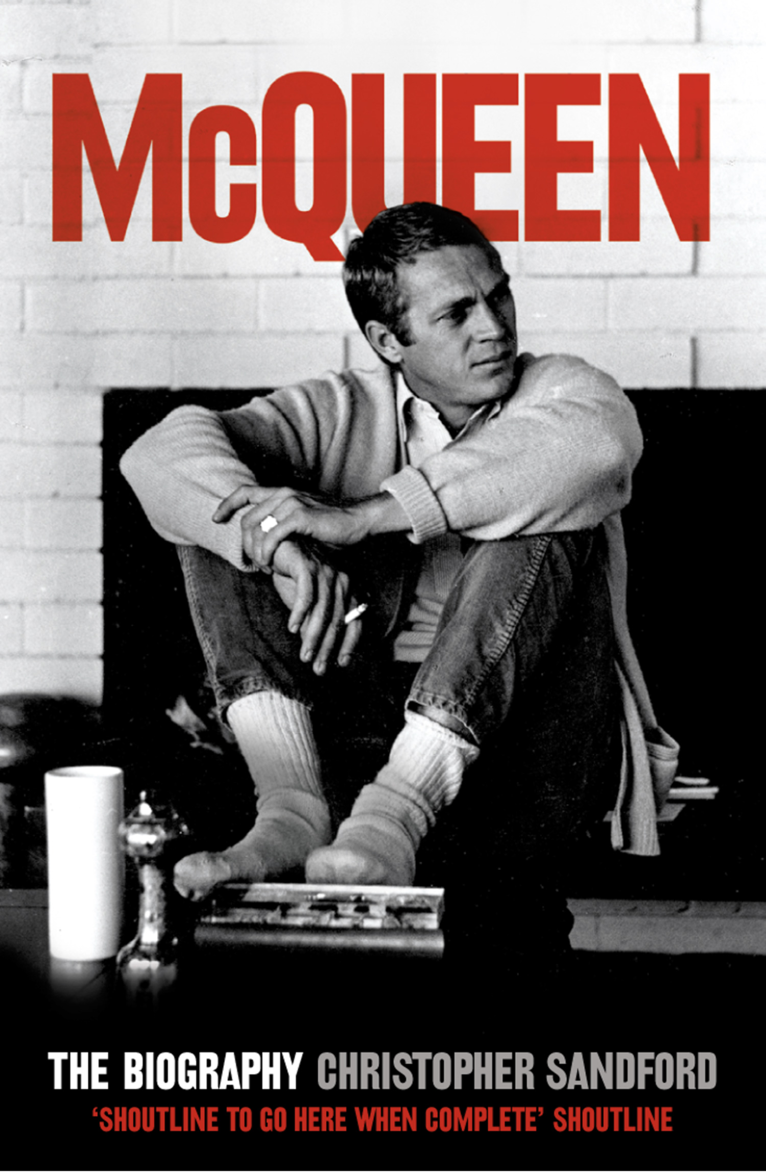 Обложка книги «McQueen: The Biography»