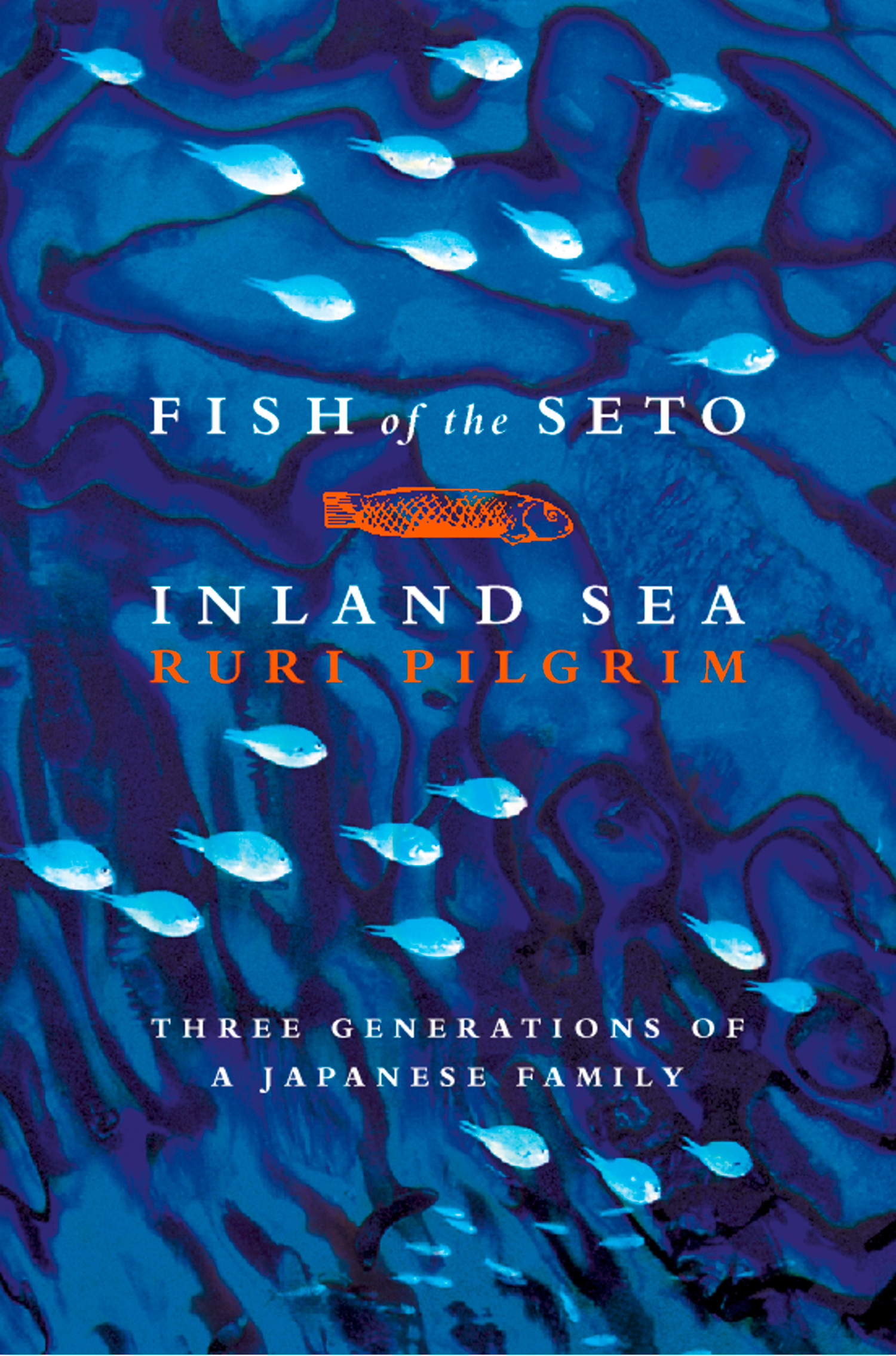 Обложка книги «Fish of the Seto Inland Sea»