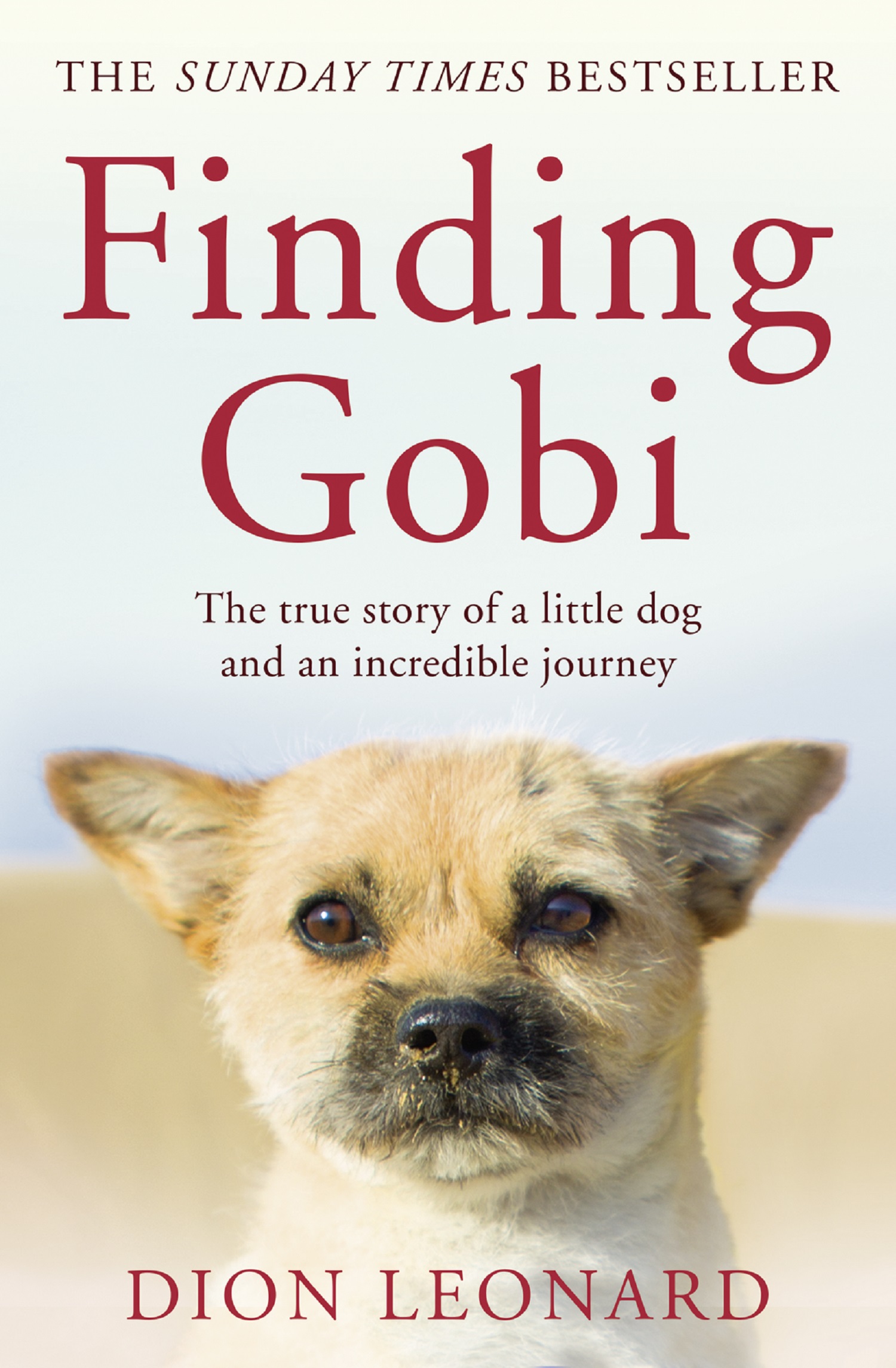 Обложка книги «Finding Gobi»