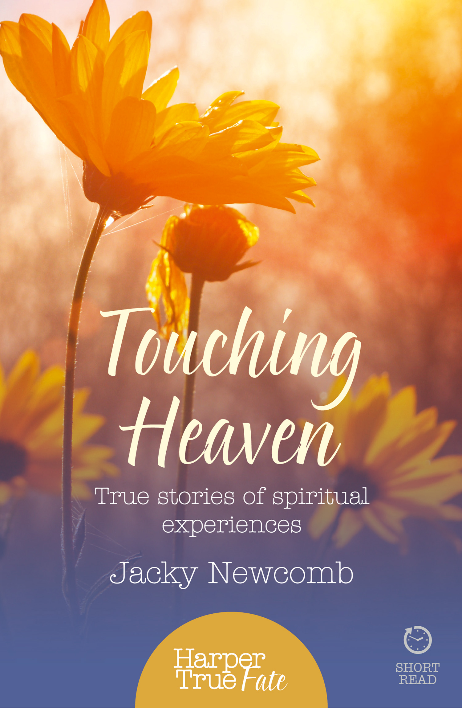 Обложка книги «Touching Heaven: True stories of spiritual experiences»