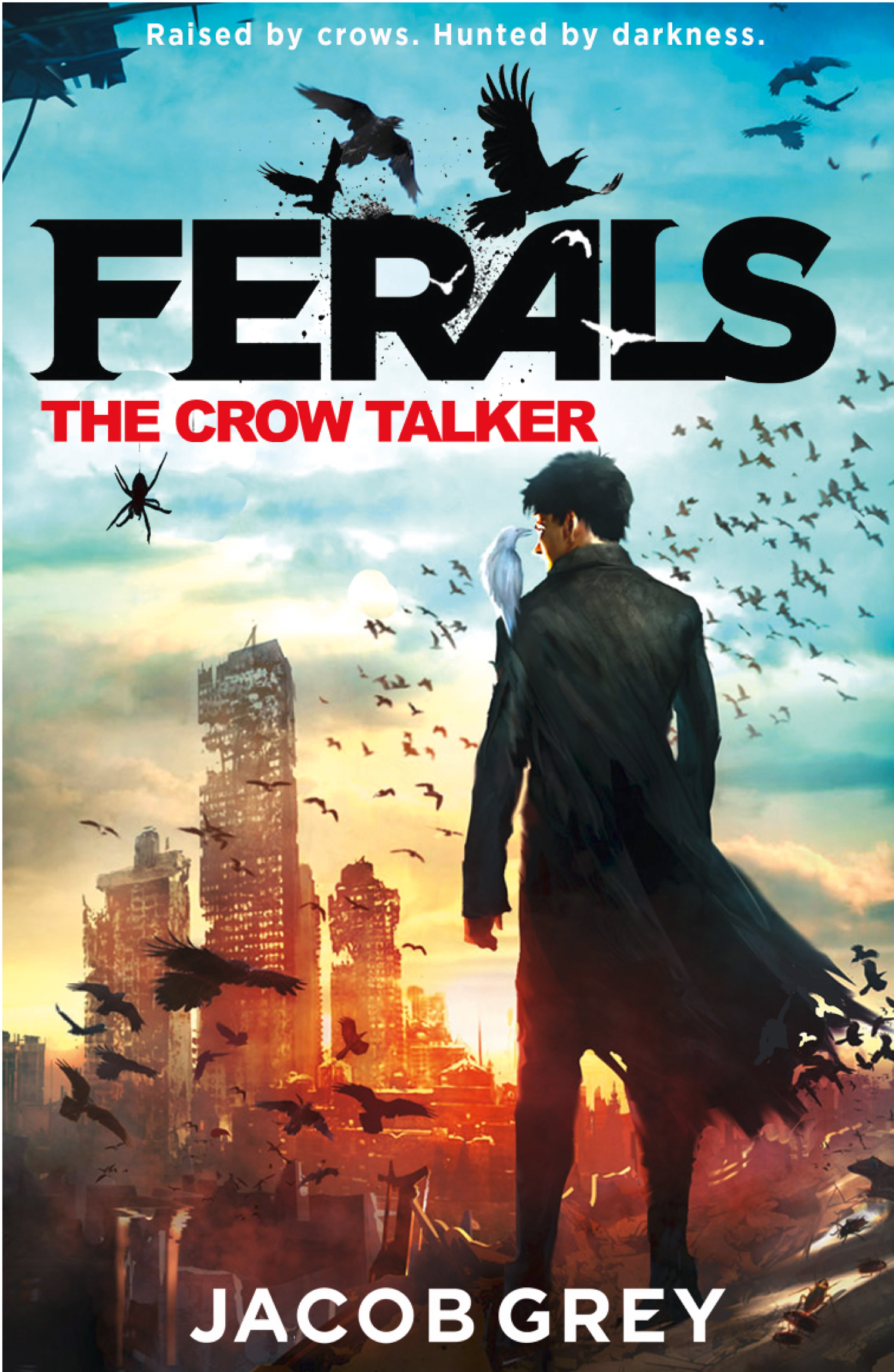 Обложка книги «The Crow Talker»
