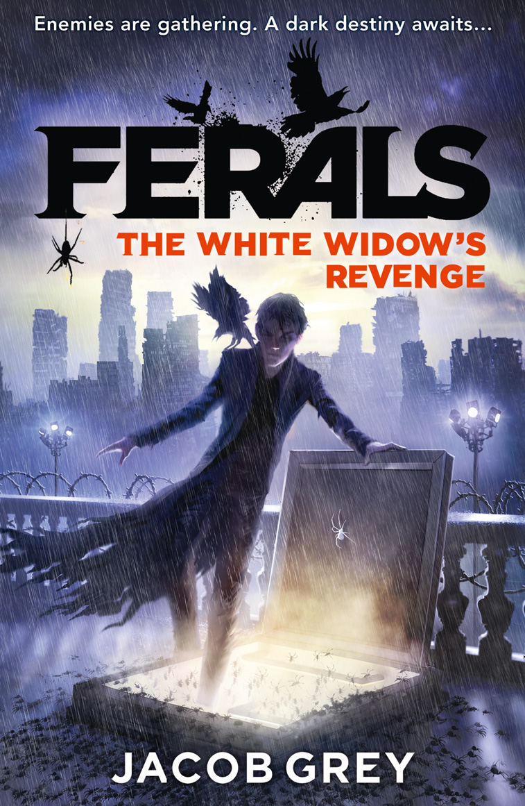 Обложка книги «The White Widow’s Revenge»