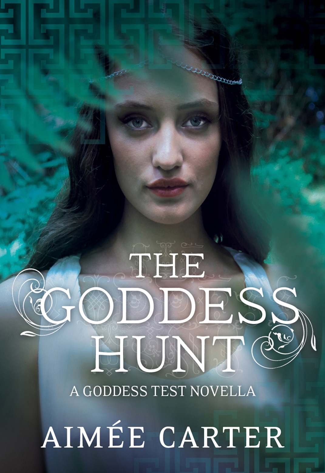 Обложка книги «The Goddess Hunt»