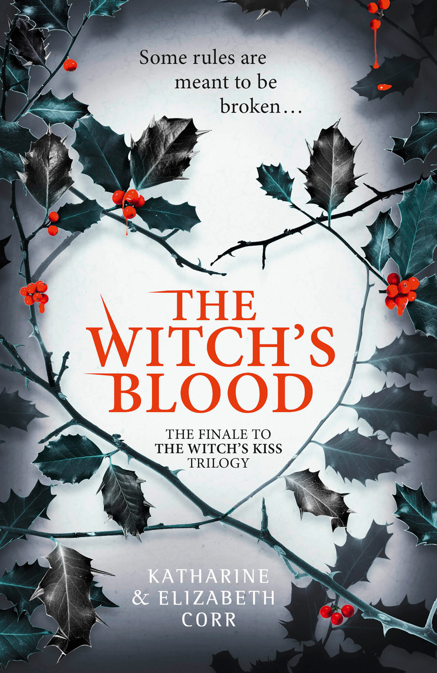 Обложка книги «The Witch’s Blood»