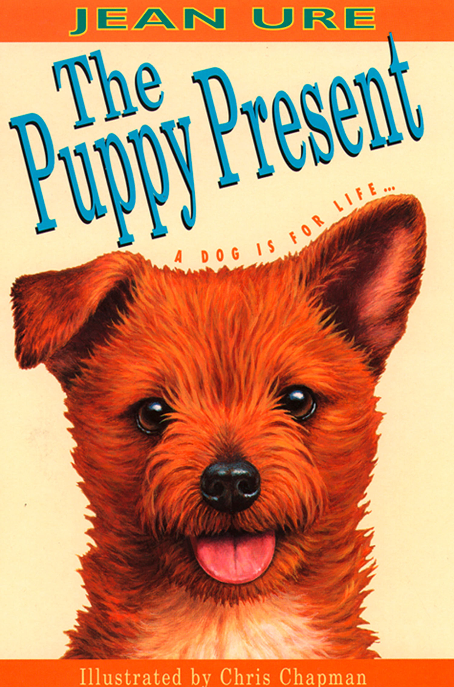 Обложка книги «The Puppy Present»
