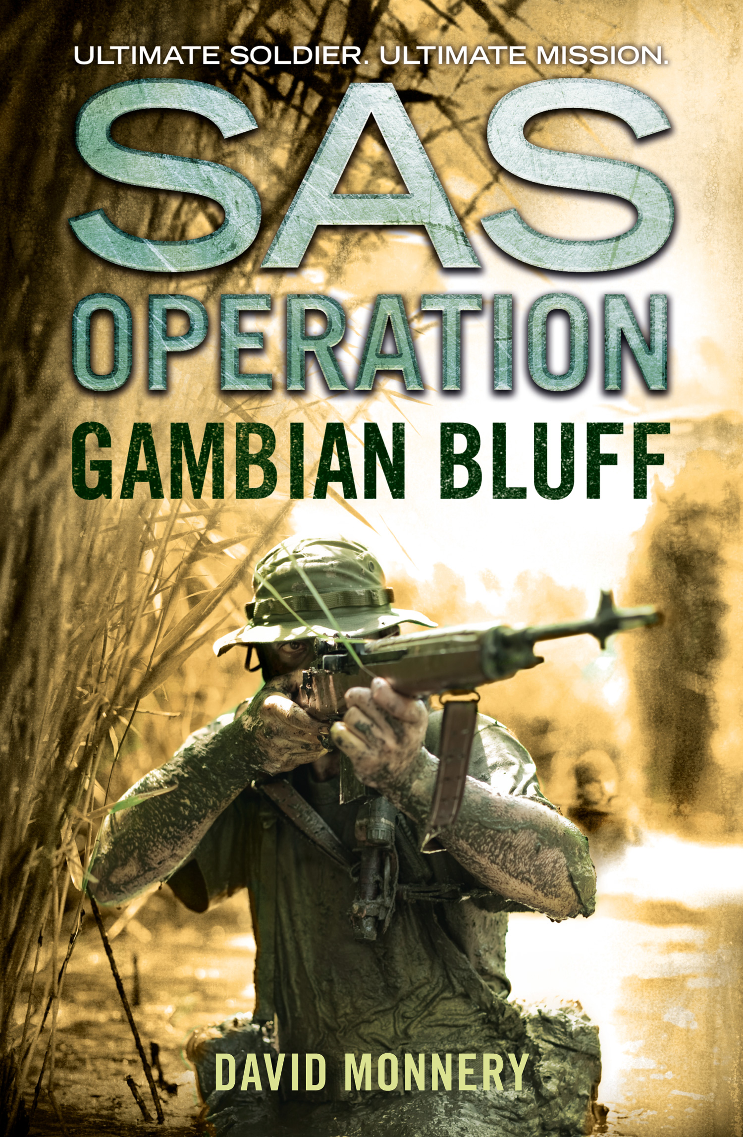 Обложка книги «Gambian Bluff»