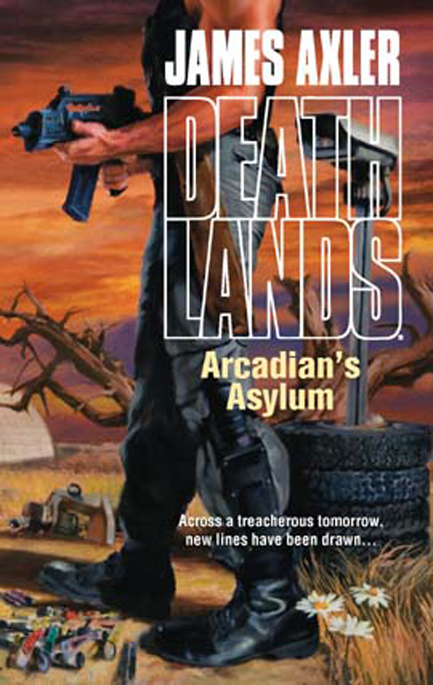 Обложка книги «Arcadian's Asylum»