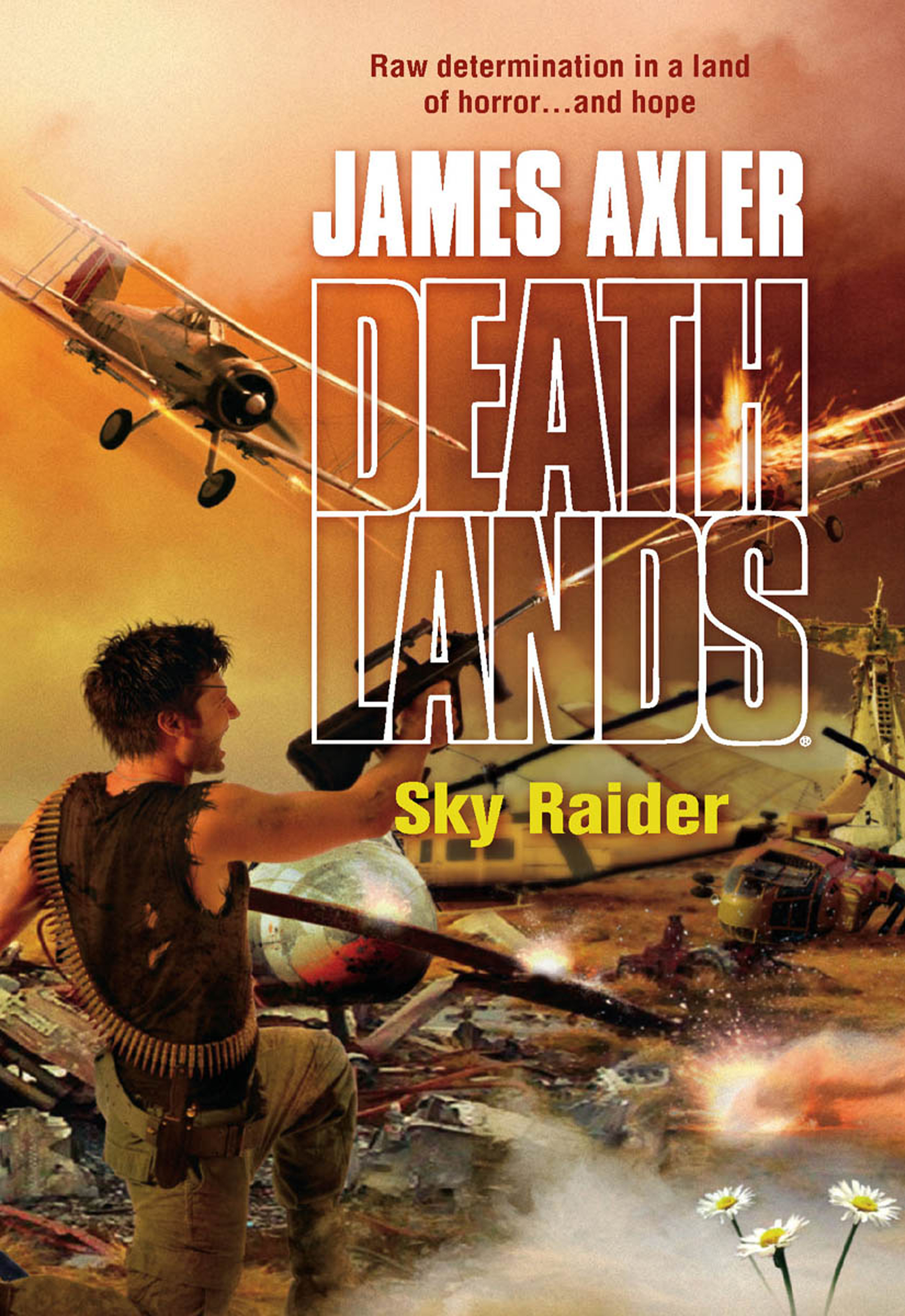 Обложка книги «Sky Raider»