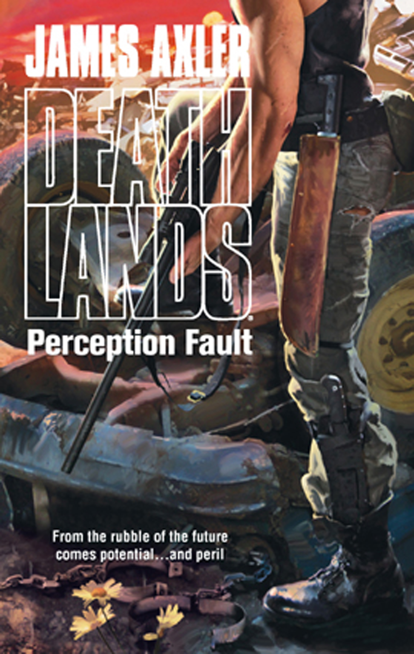 Обложка книги «Perception Fault»
