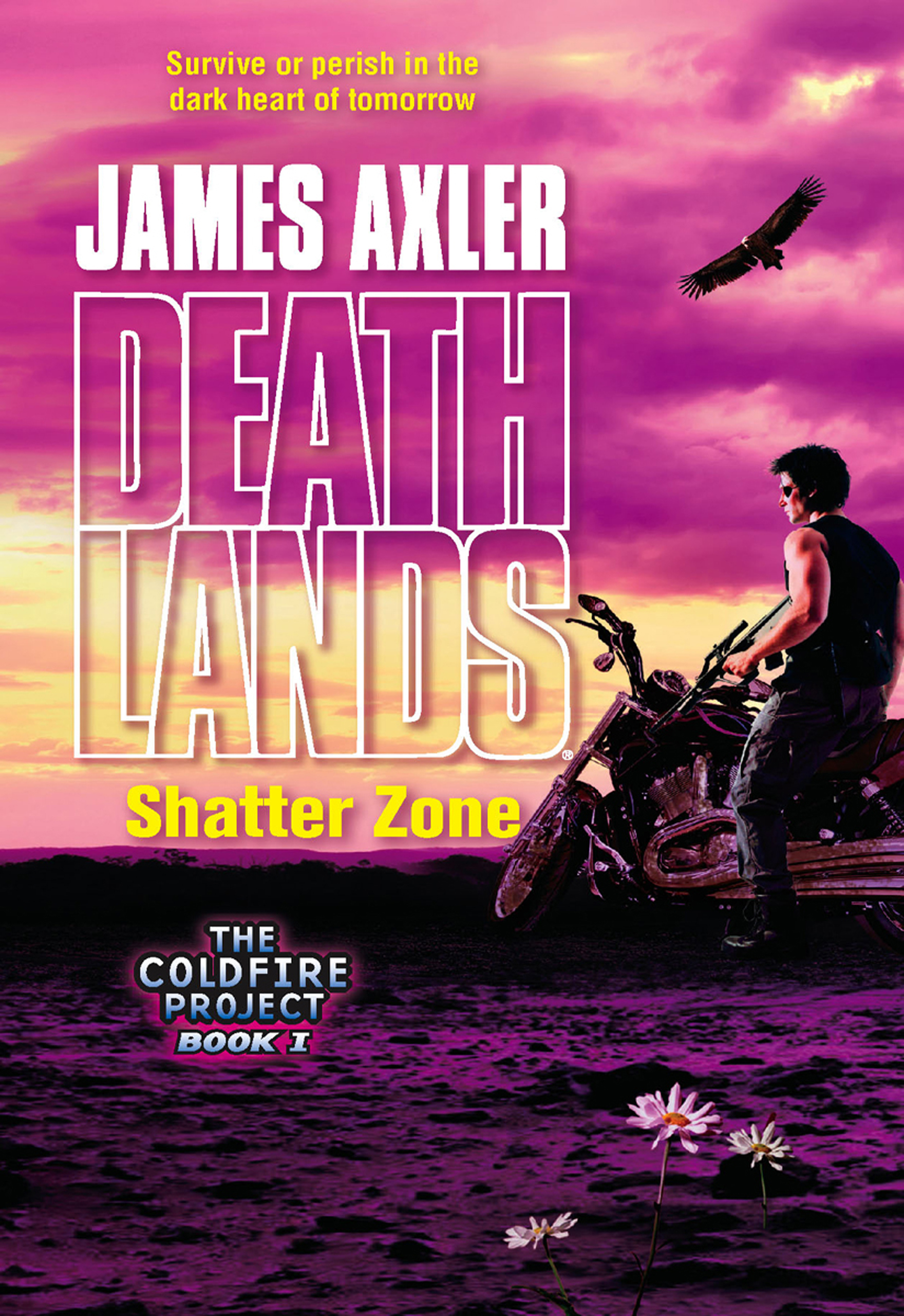 Обложка книги «Shatter Zone»