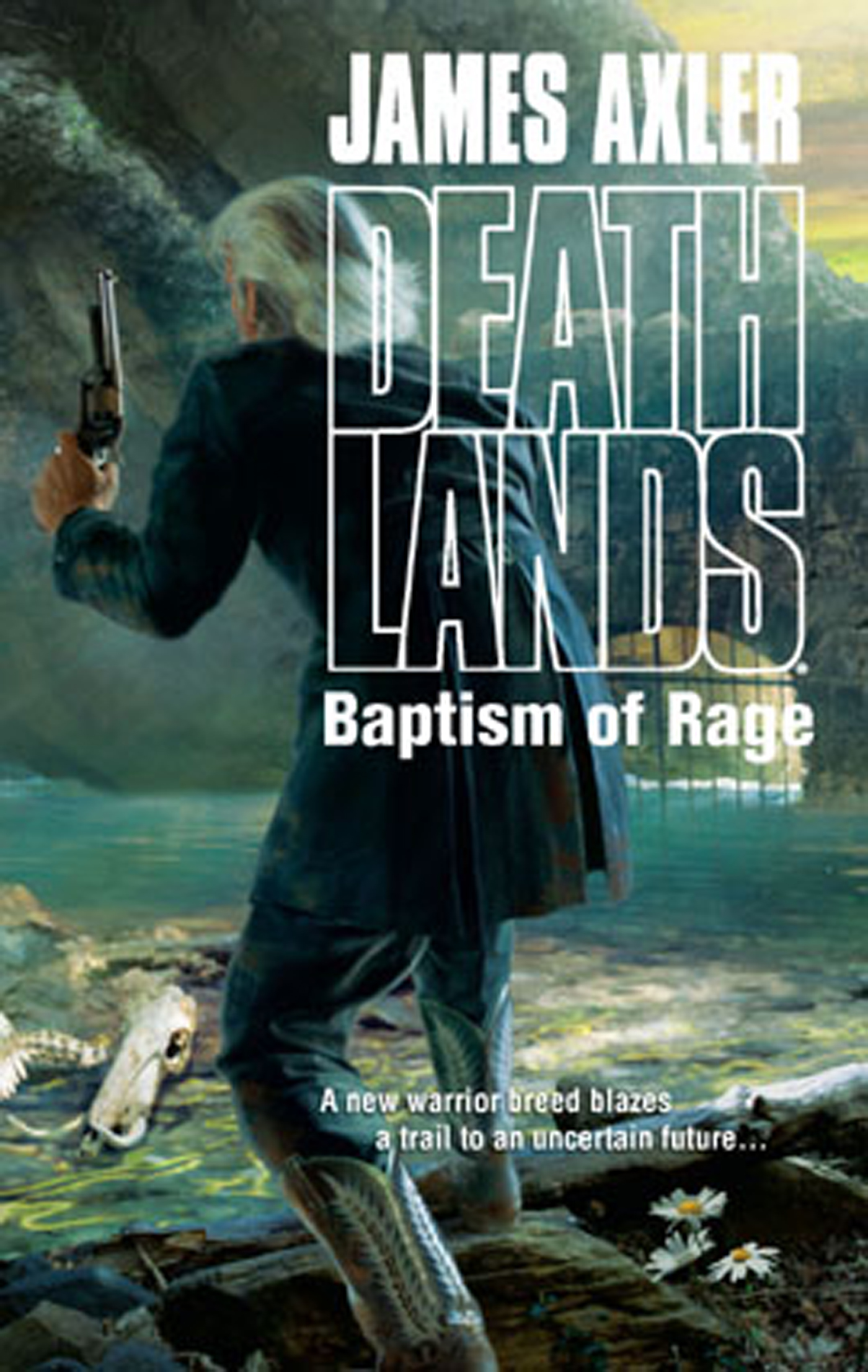 Обложка книги «Baptism Of Rage»