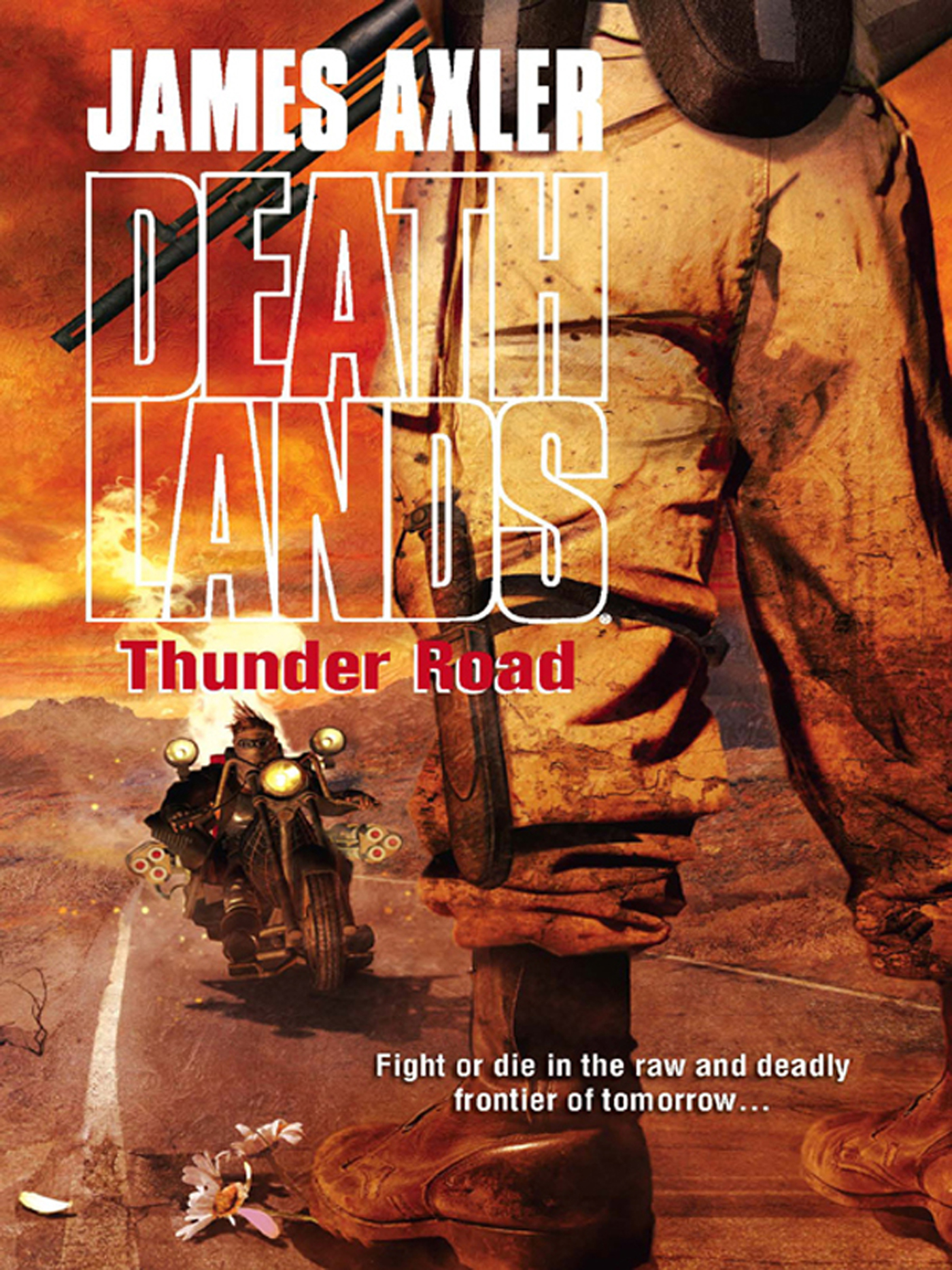 Обложка книги «Thunder Road»