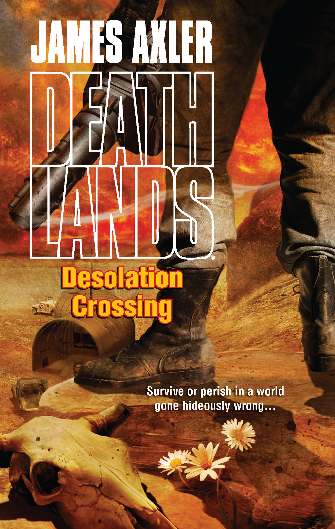 Обложка книги «Desolation Crossing»