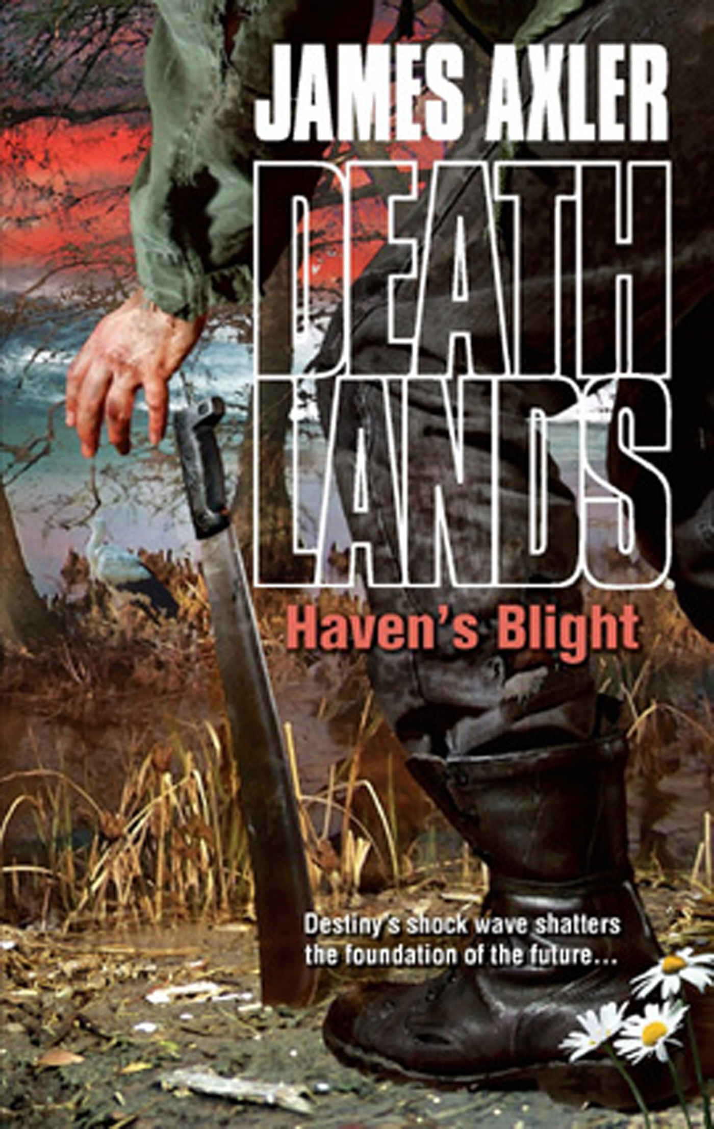Обложка книги «Haven's Blight»