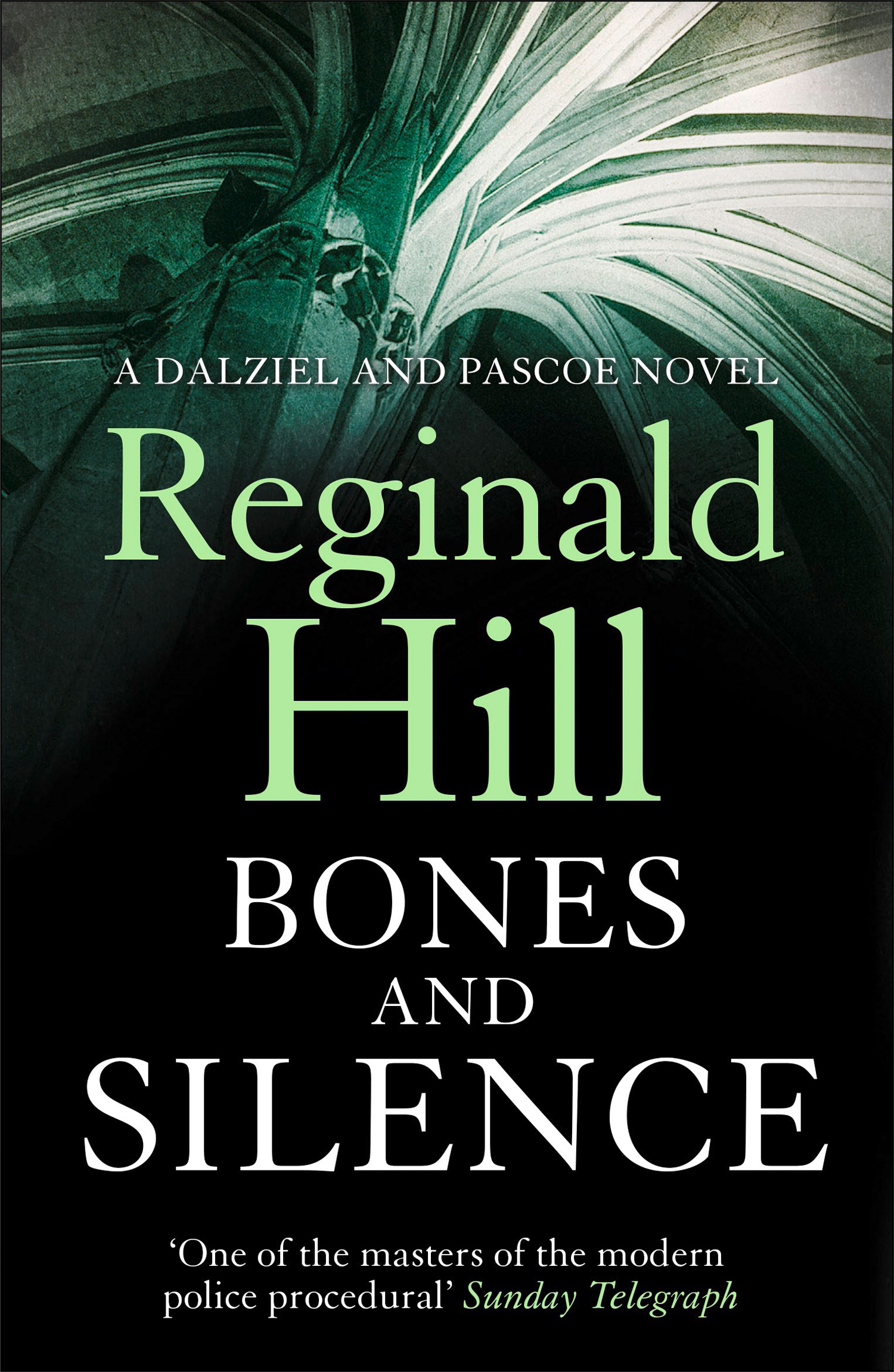 Обложка книги «Bones and Silence»