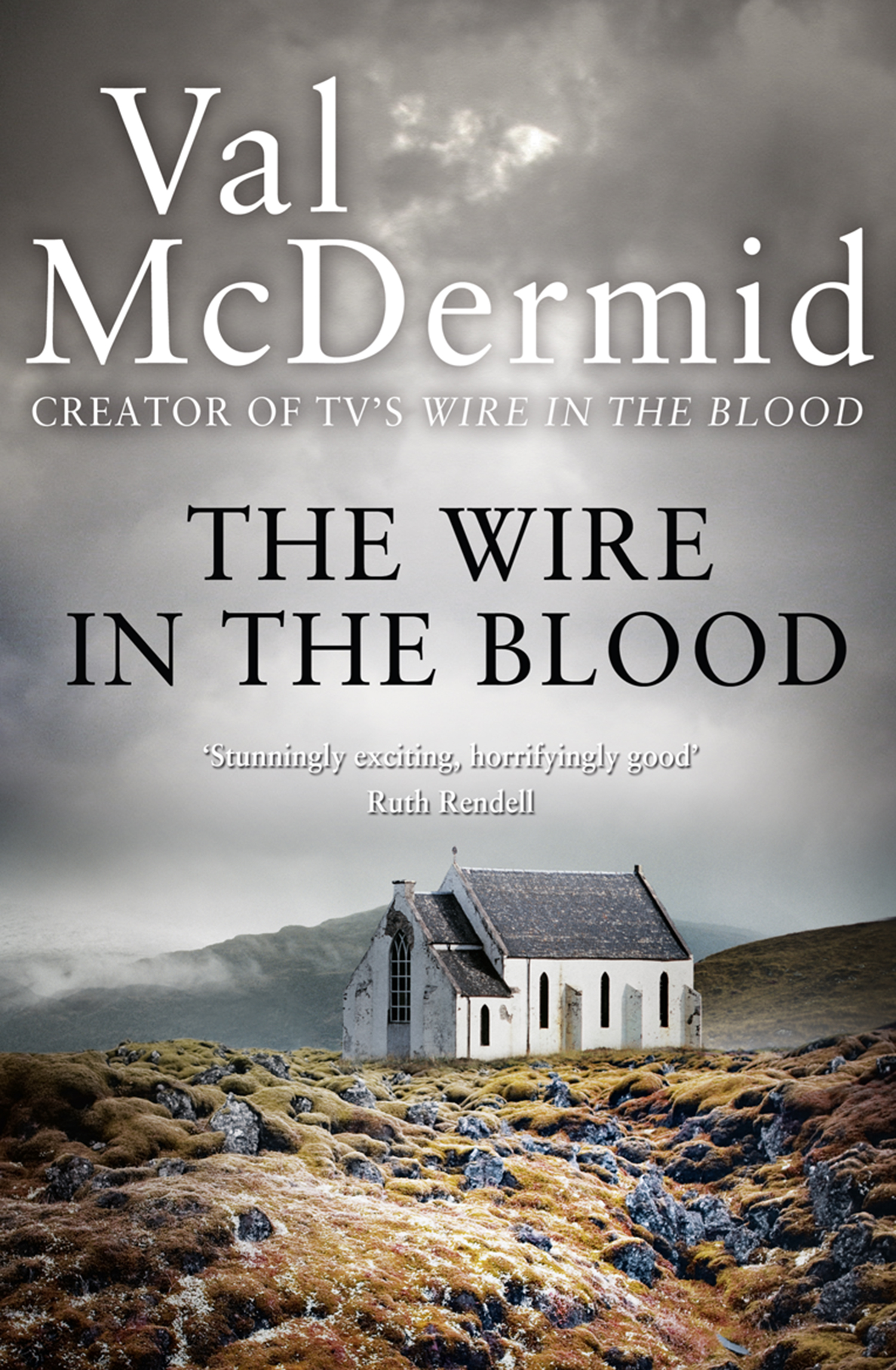 Обложка книги «The Wire in the Blood»