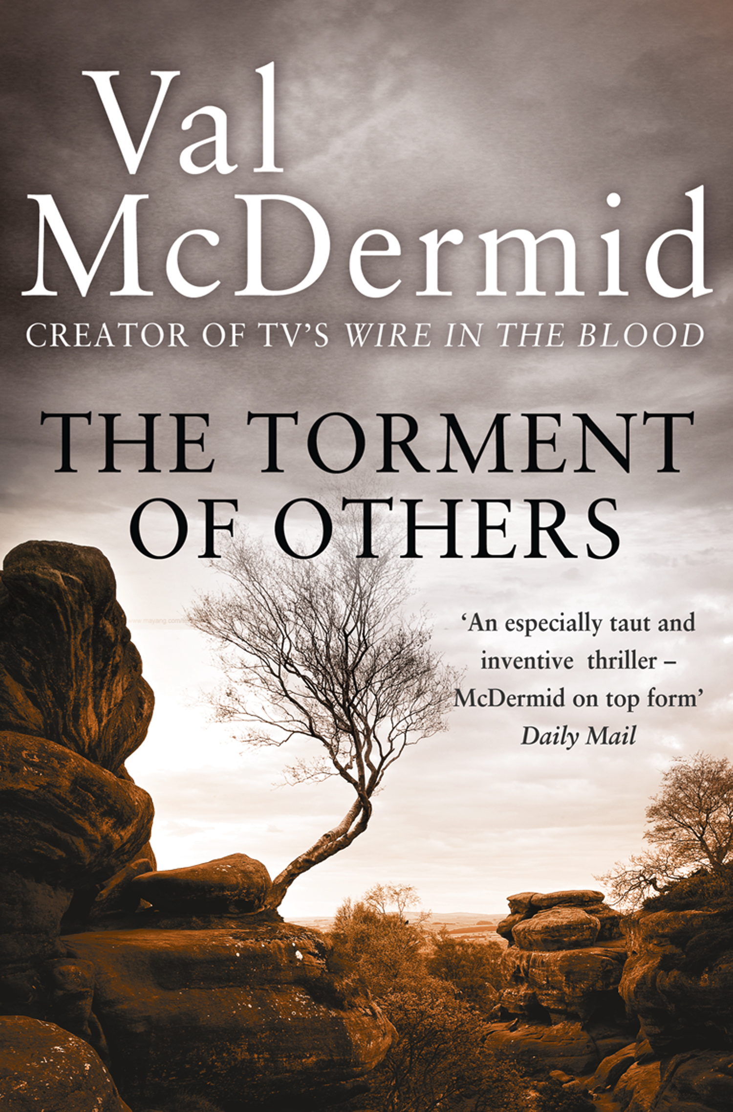 Обложка книги «The Torment of Others»