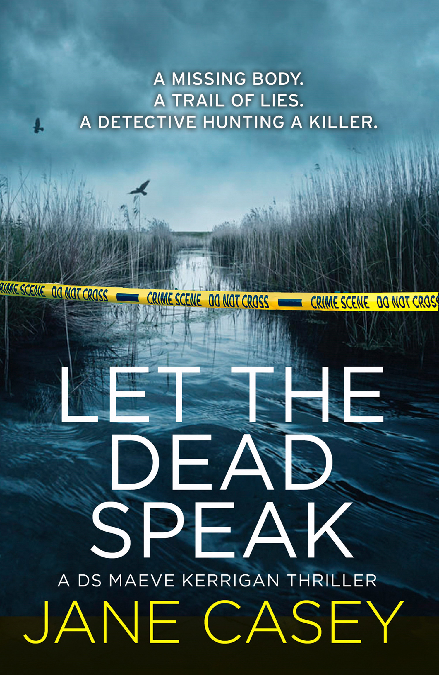 Обложка книги «Let the Dead Speak: A gripping new thriller»