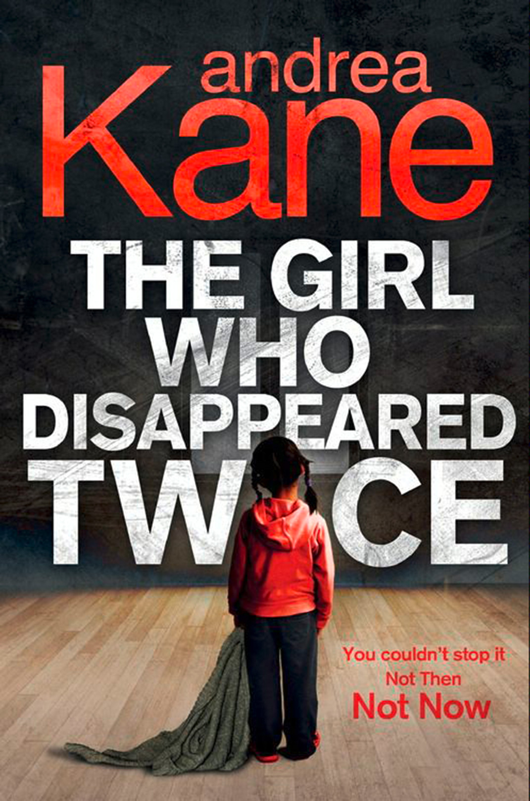 Обложка книги «The Girl Who Disappeared Twice»