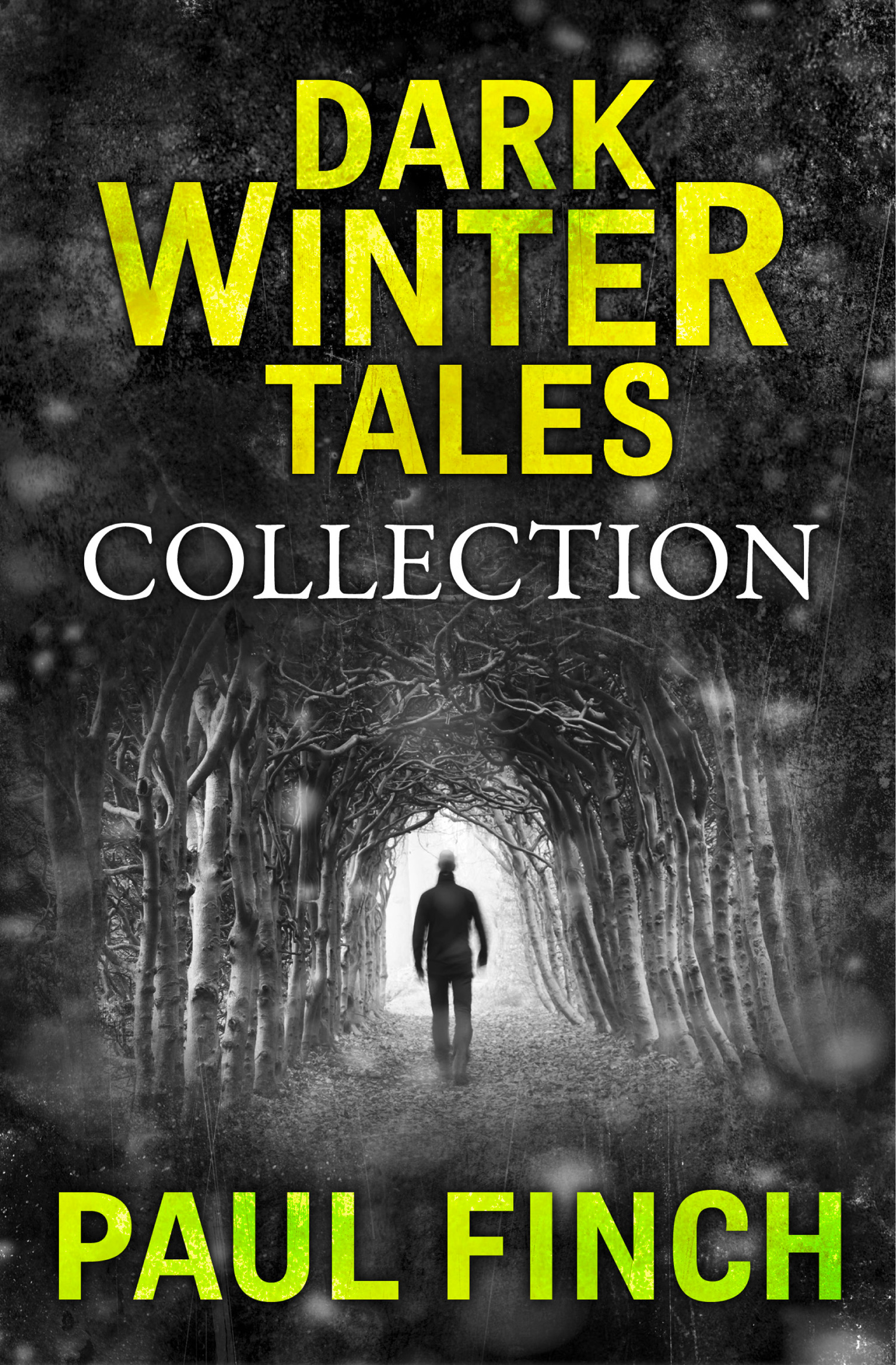 Обложка книги «Dark Winter Tales: a collection of horror short stories»