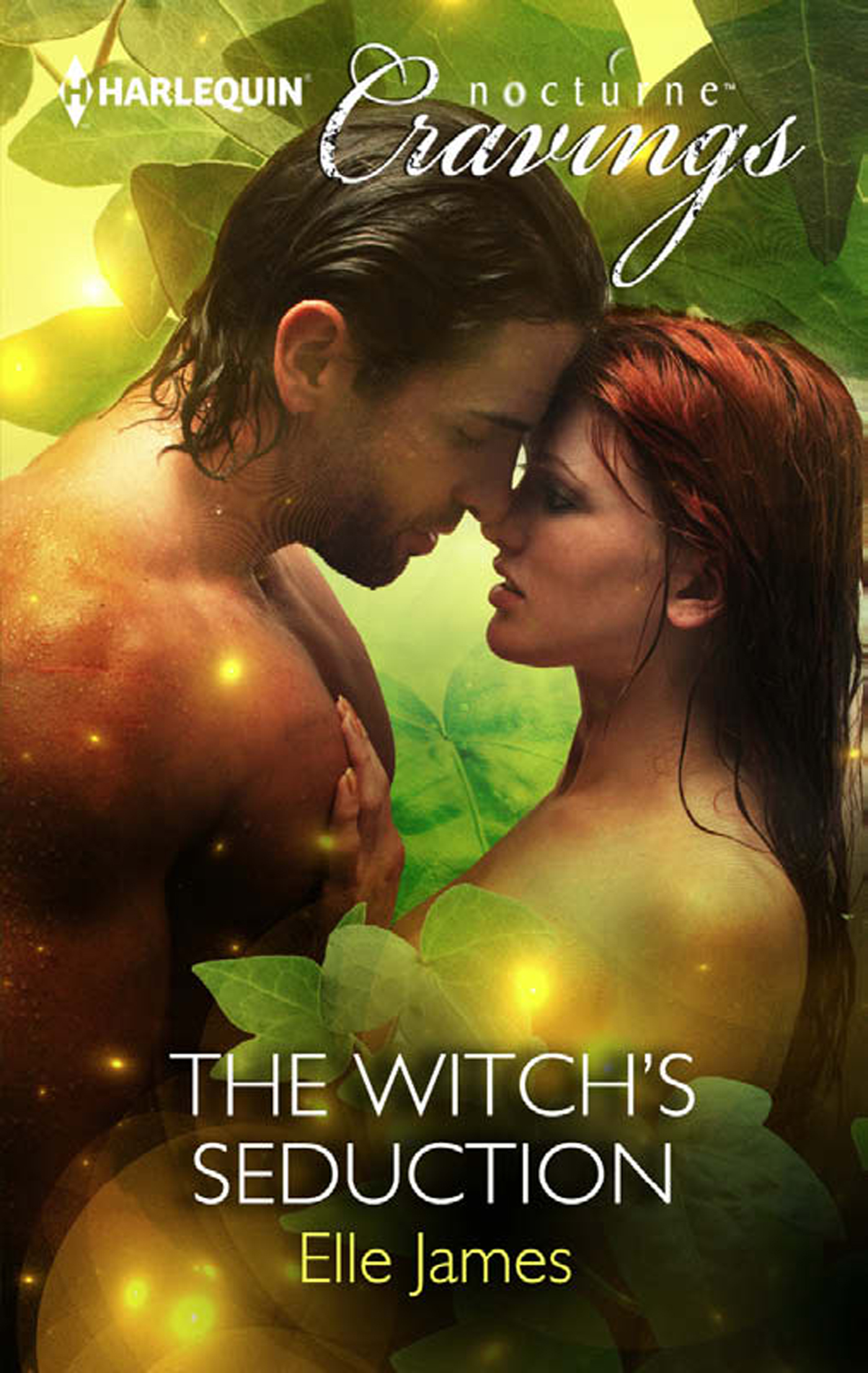 Обложка книги «The Witch's Seduction»