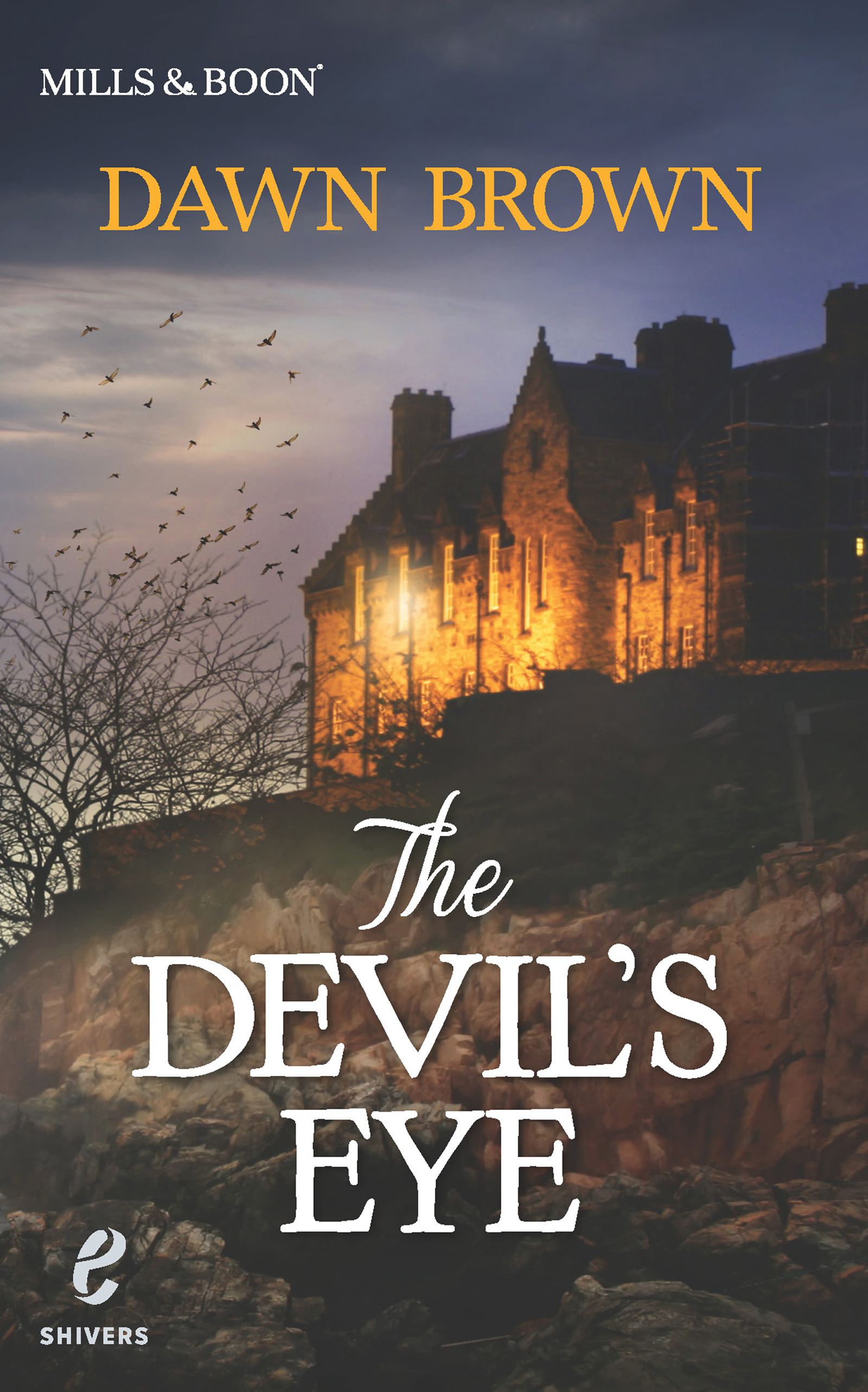 Обложка книги «The Devil's Eye»