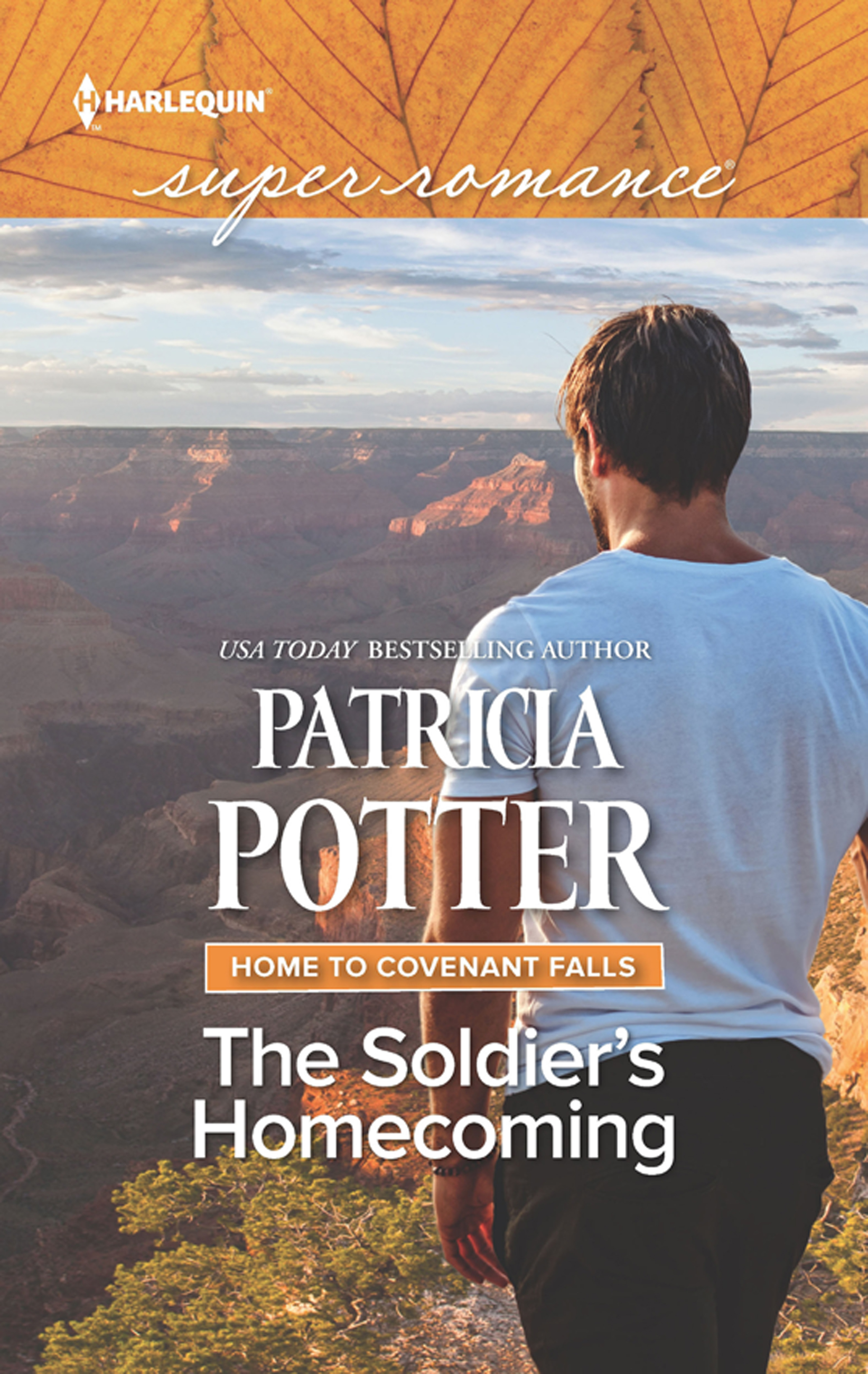 Обложка книги «The Soldier's Homecoming»