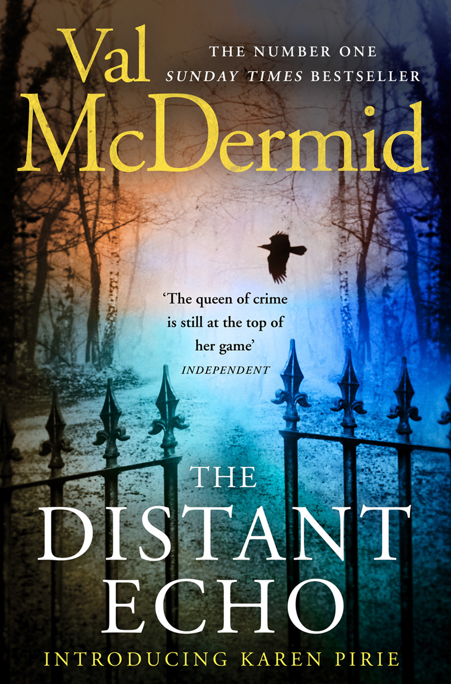 Обложка книги «The Distant Echo»