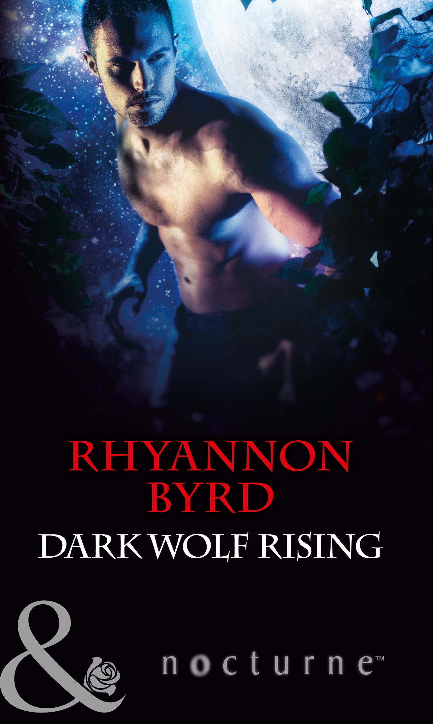 Обложка книги «Dark Wolf Rising»