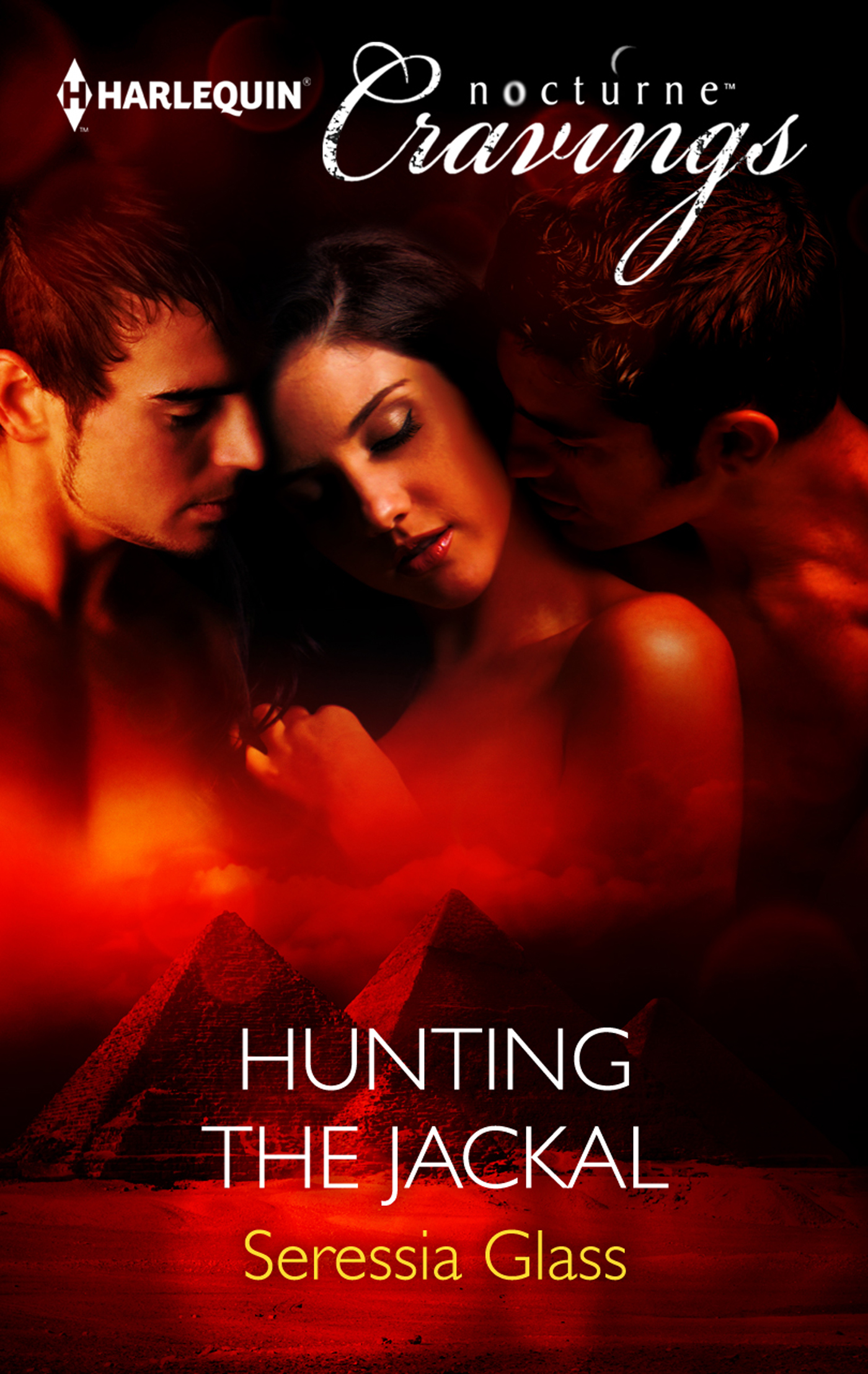 Обложка книги «Hunting the Jackal»