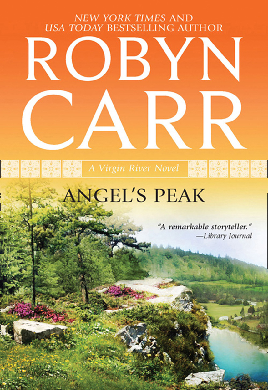 Обложка книги «Angel's Peak»