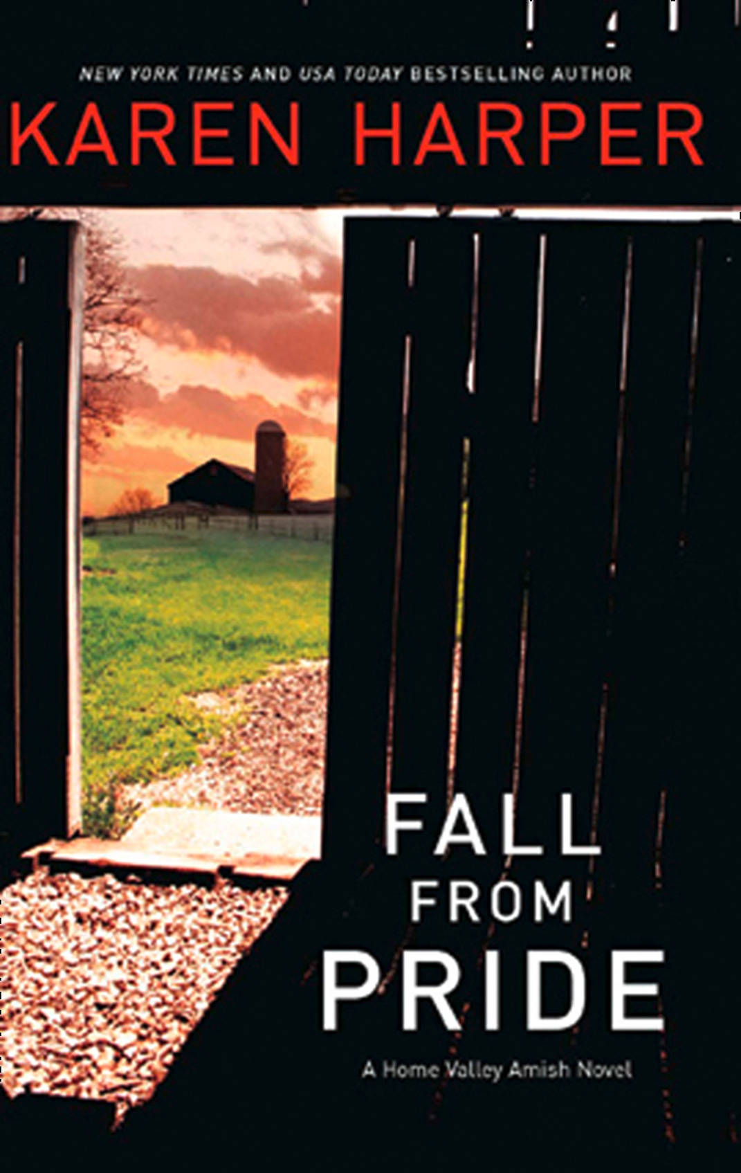 Обложка книги «Fall From Pride»
