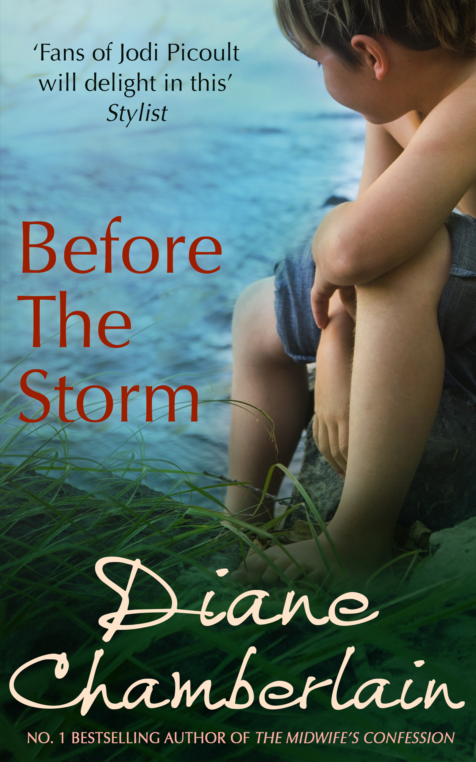 Обложка книги «Before the Storm»
