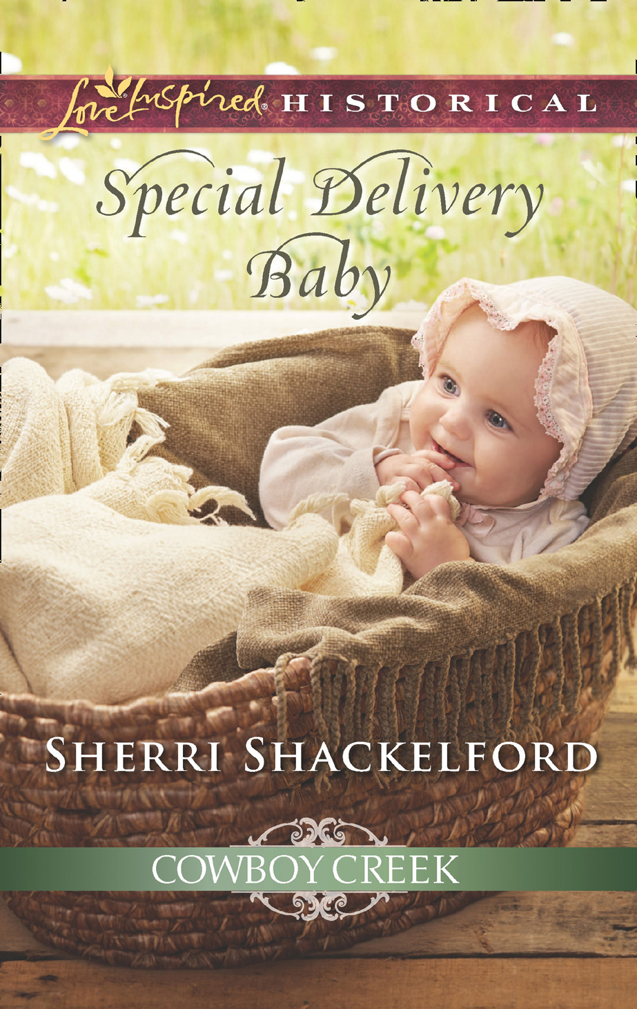 Обложка книги «Special Delivery Baby»