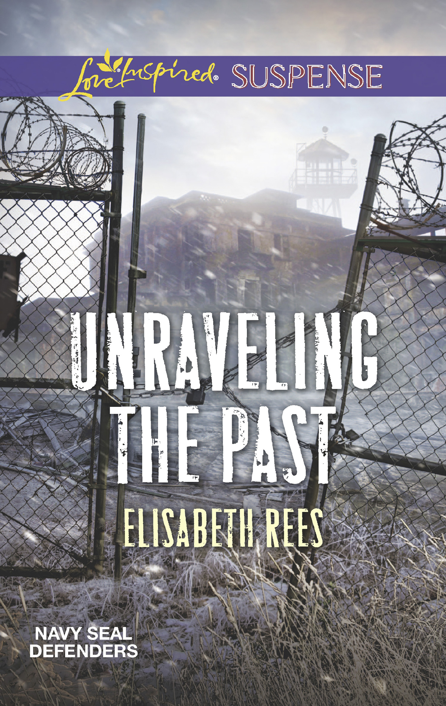 Обложка книги «Unraveling The Past»