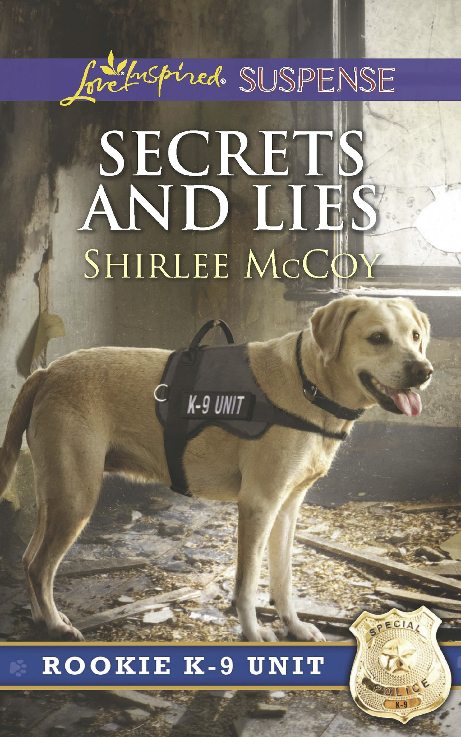 Обложка книги «Secrets And Lies»
