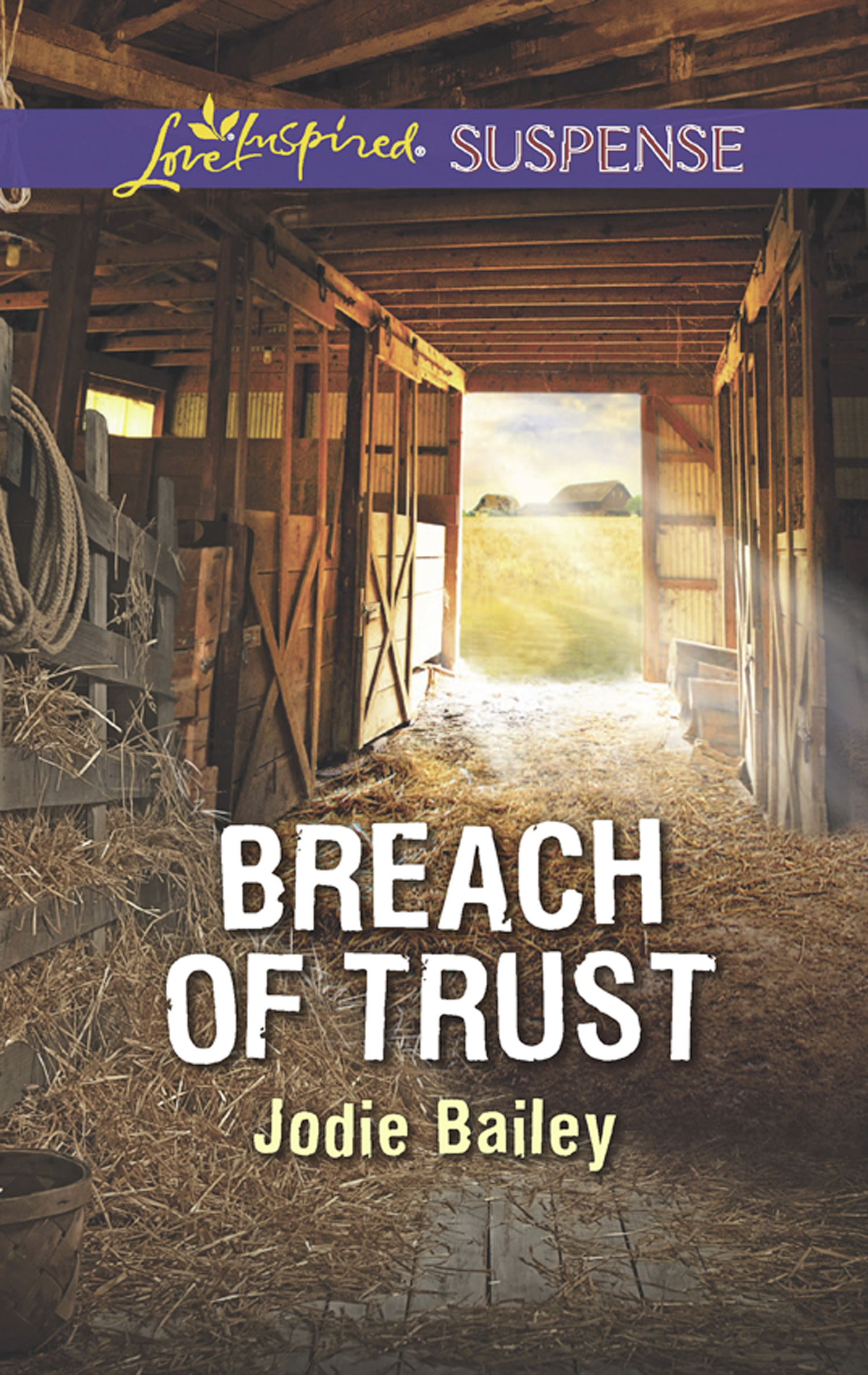 Обложка книги «Breach Of Trust»