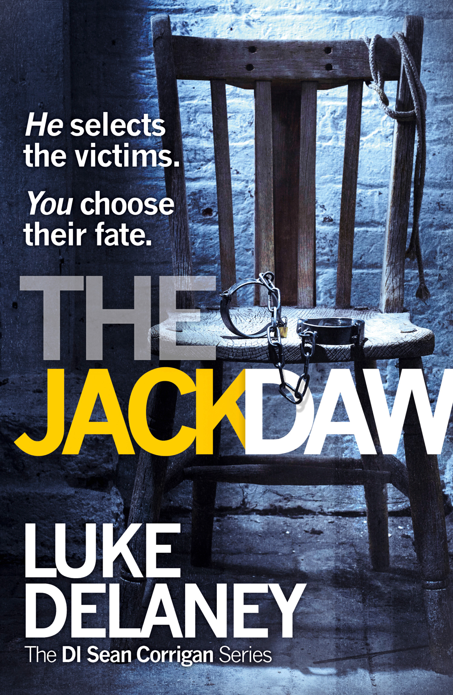 Обложка книги «The Jackdaw»