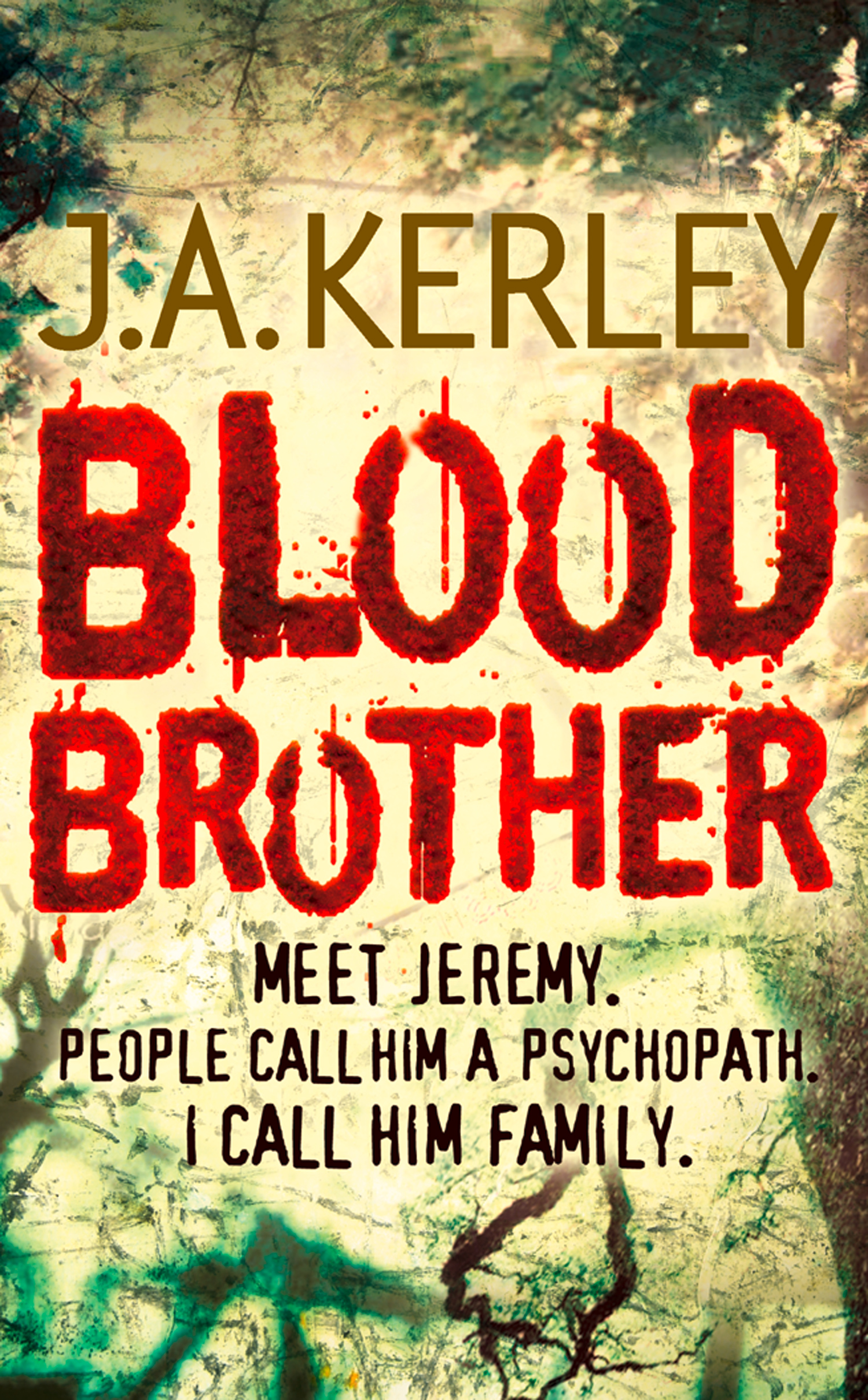 Обложка книги «Blood Brother»