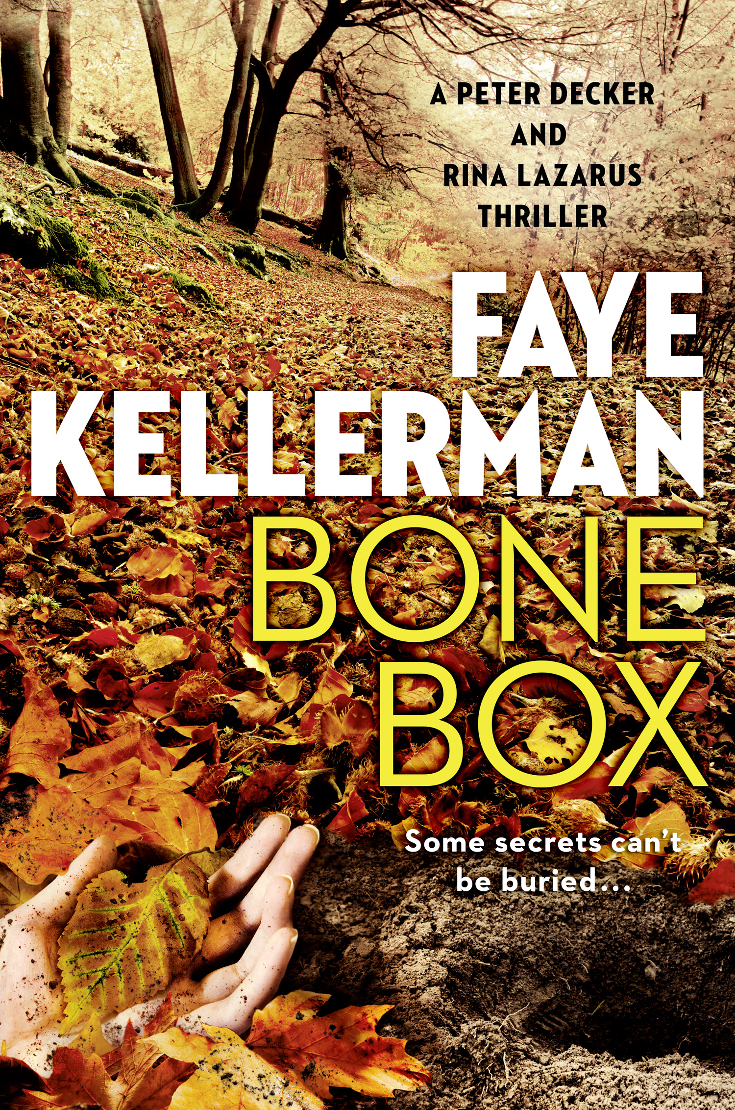 Обложка книги «Bone Box»