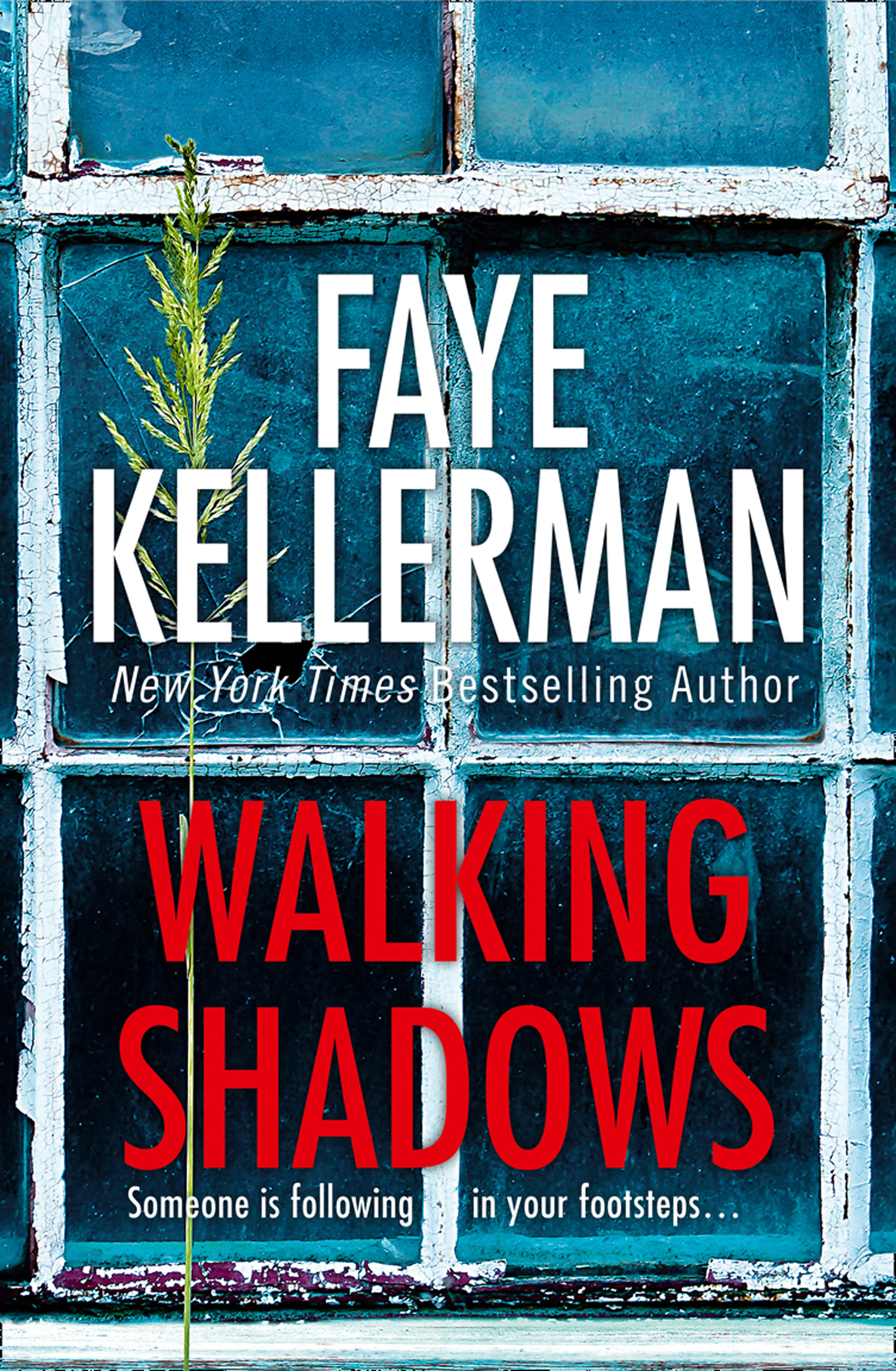 Обложка книги «Walking Shadows»