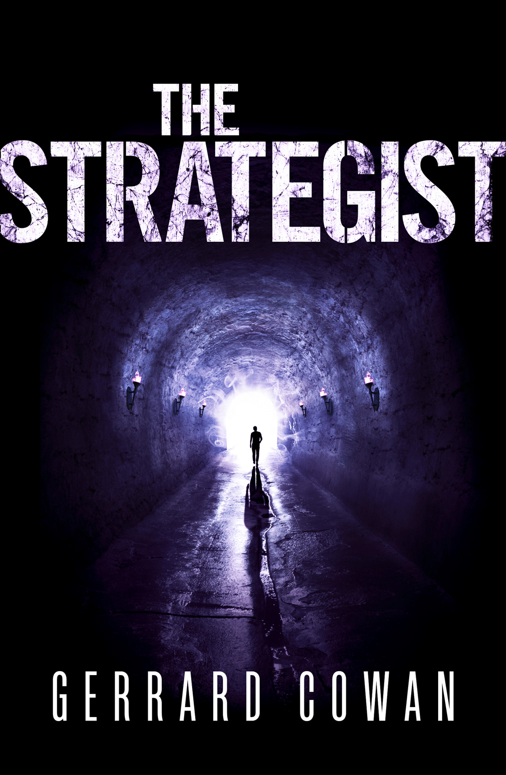 Обложка книги «The Strategist»