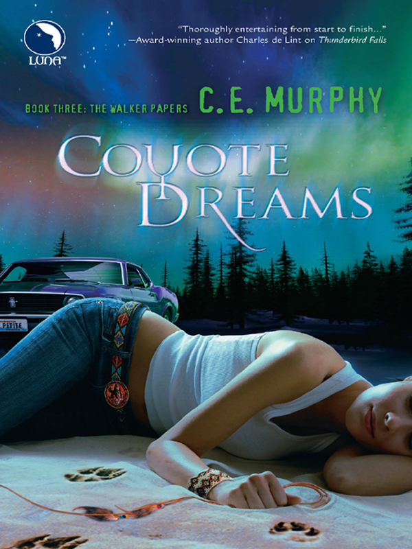 Обложка книги «Coyote Dreams»