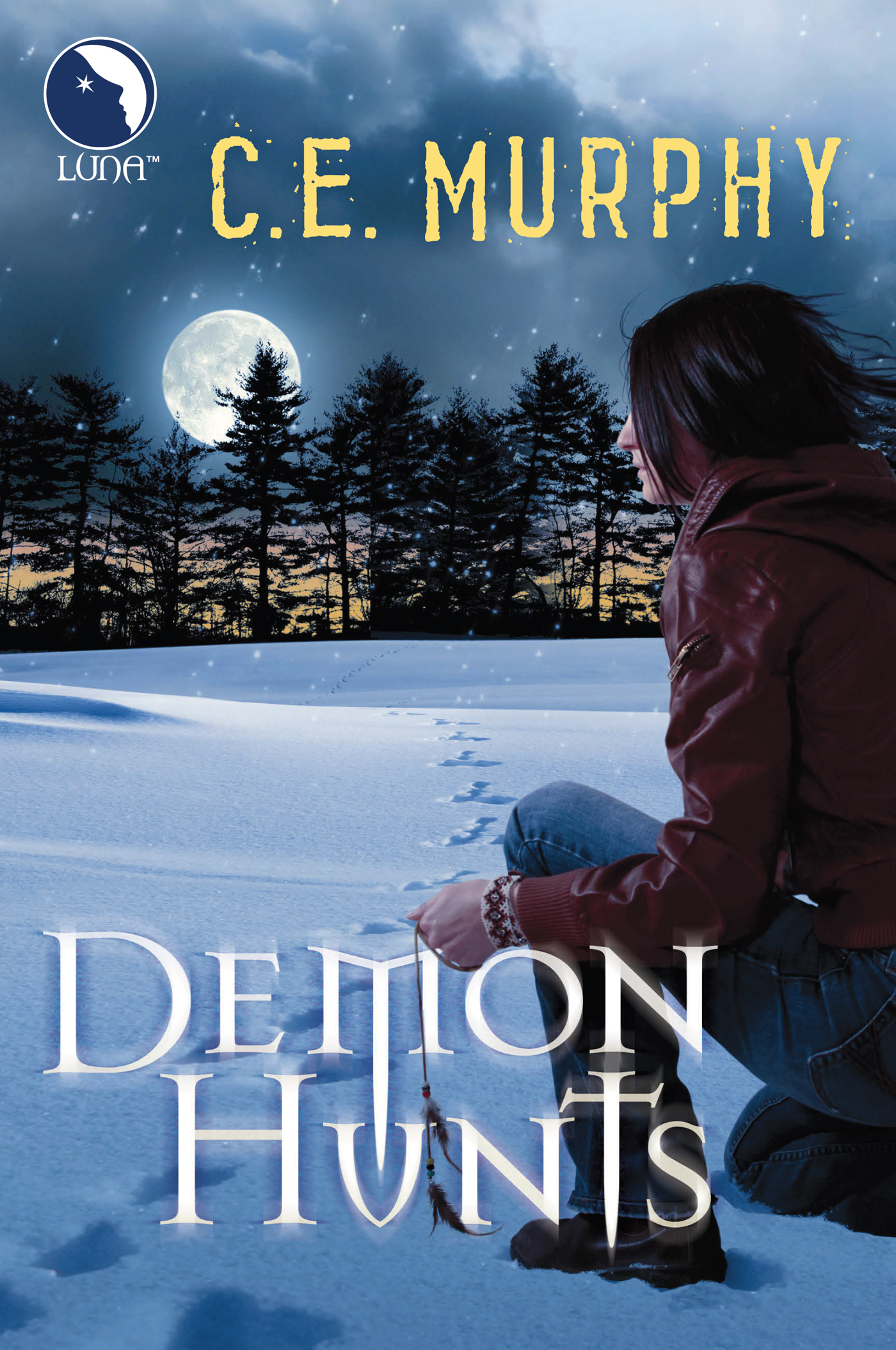 Обложка книги «Demon Hunts»