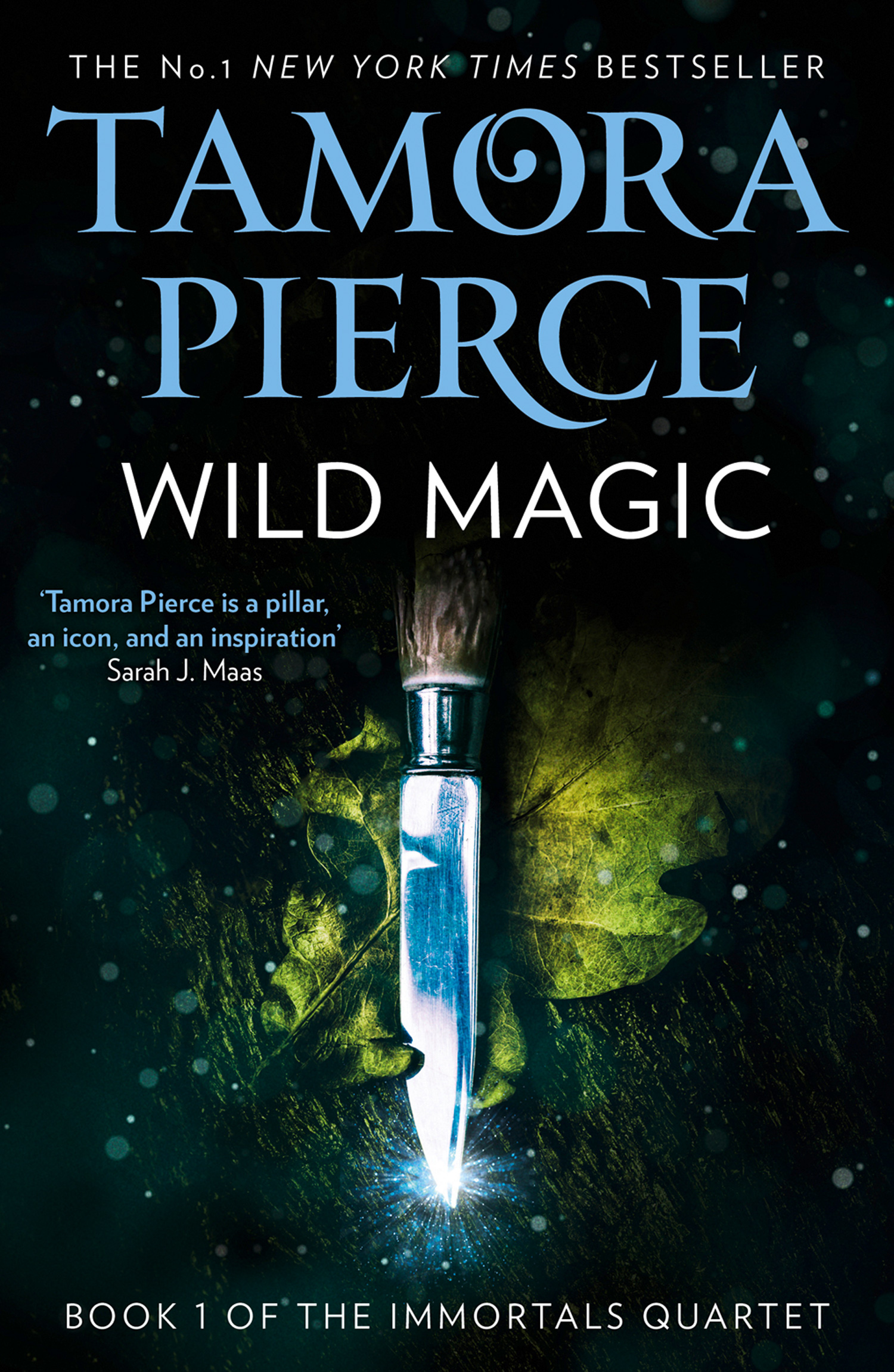 Обложка книги «Wild Magic»